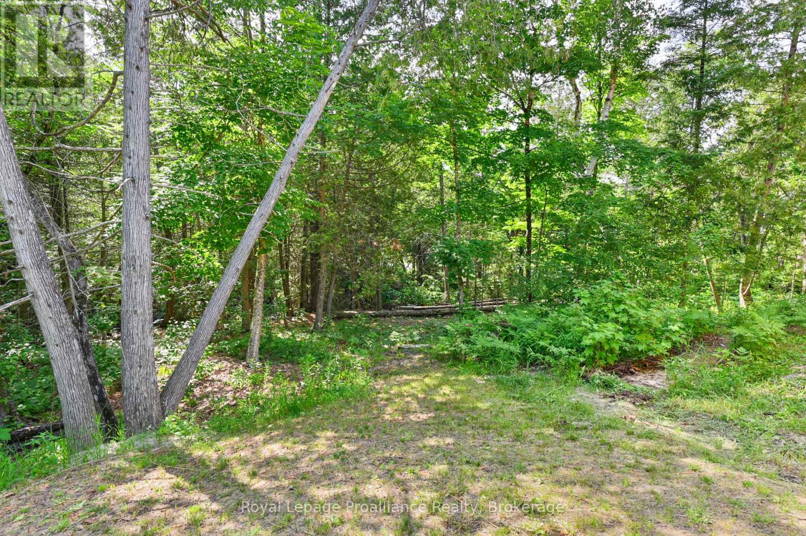 93 Hammond Road, Tudor And Cashel (Cashel Ward), Ontario  K0L 1W0 - Photo 37 - X13502036
