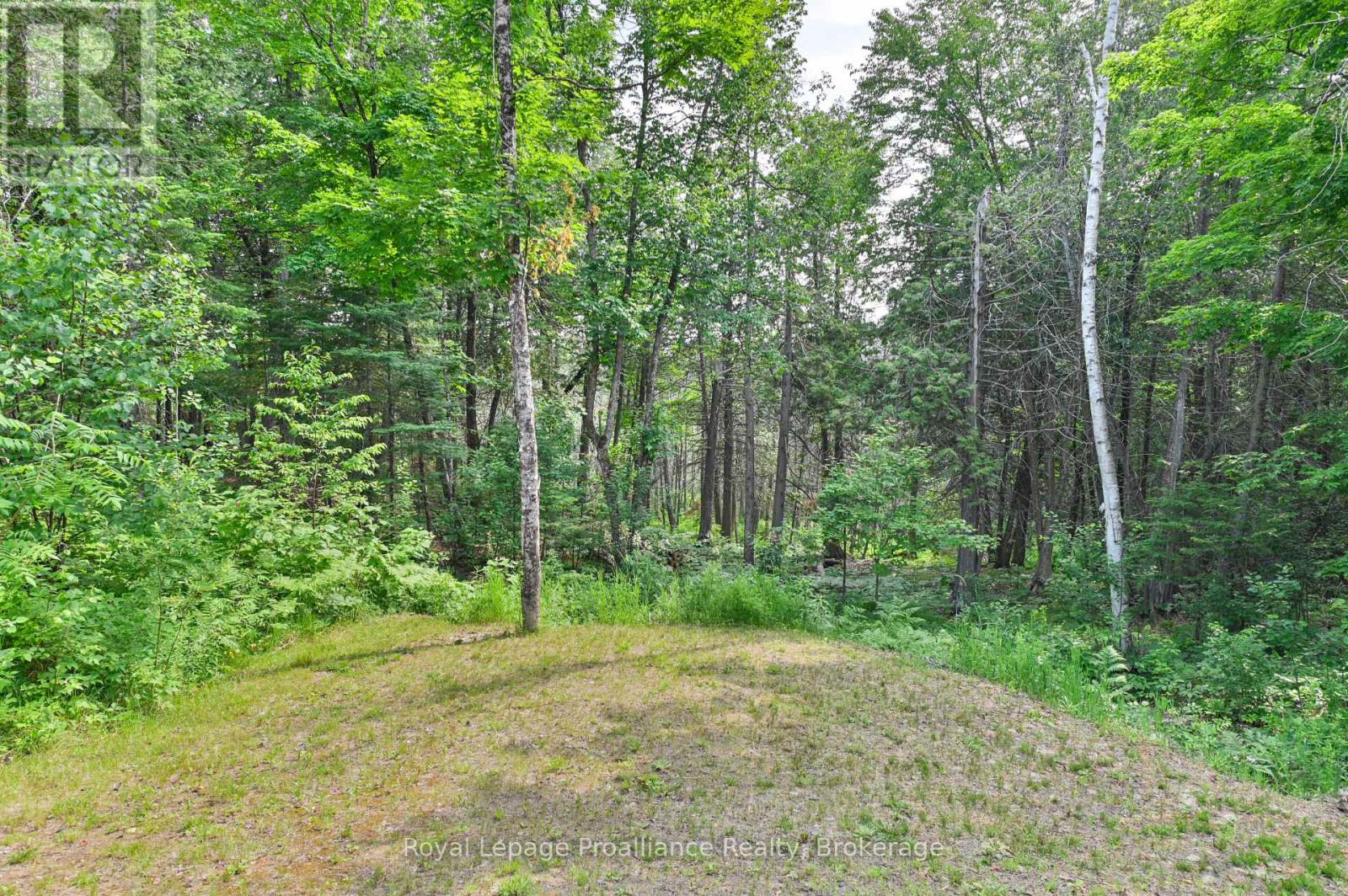 93 Hammond Road, Tudor And Cashel (Cashel Ward), Ontario  K0L 1W0 - Photo 39 - X13502036