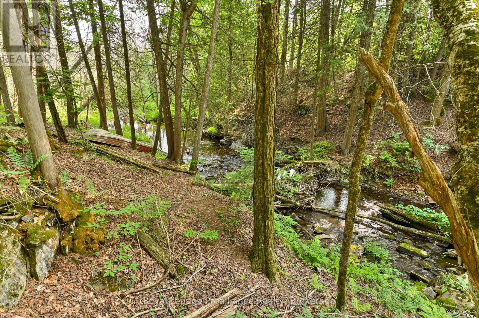 93 Hammond Road, Tudor And Cashel (Cashel Ward), Ontario  K0L 1W0 - Photo 40 - X13502036