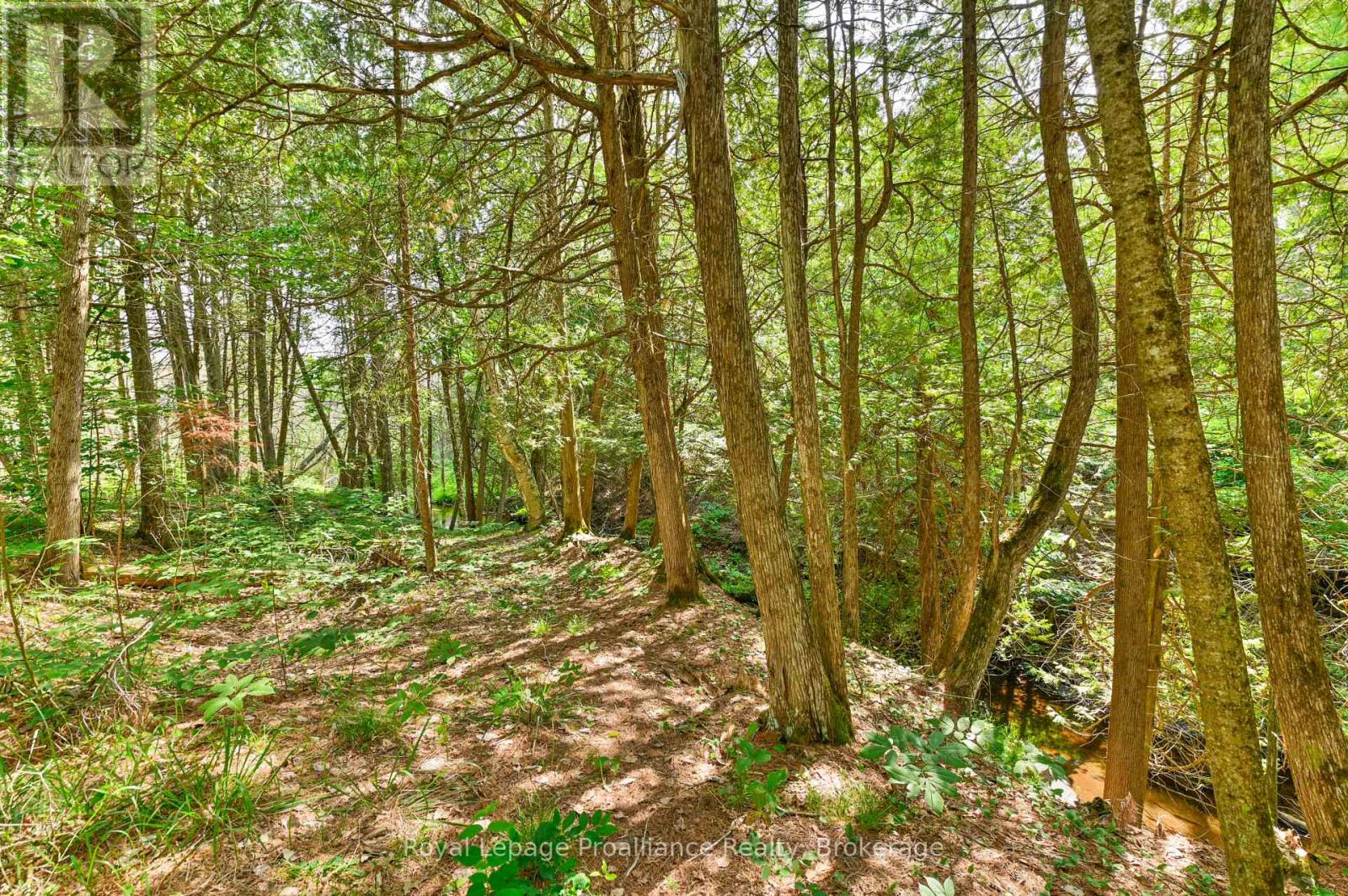 93 Hammond Road, Tudor And Cashel (Cashel Ward), Ontario  K0L 1W0 - Photo 41 - X13502036