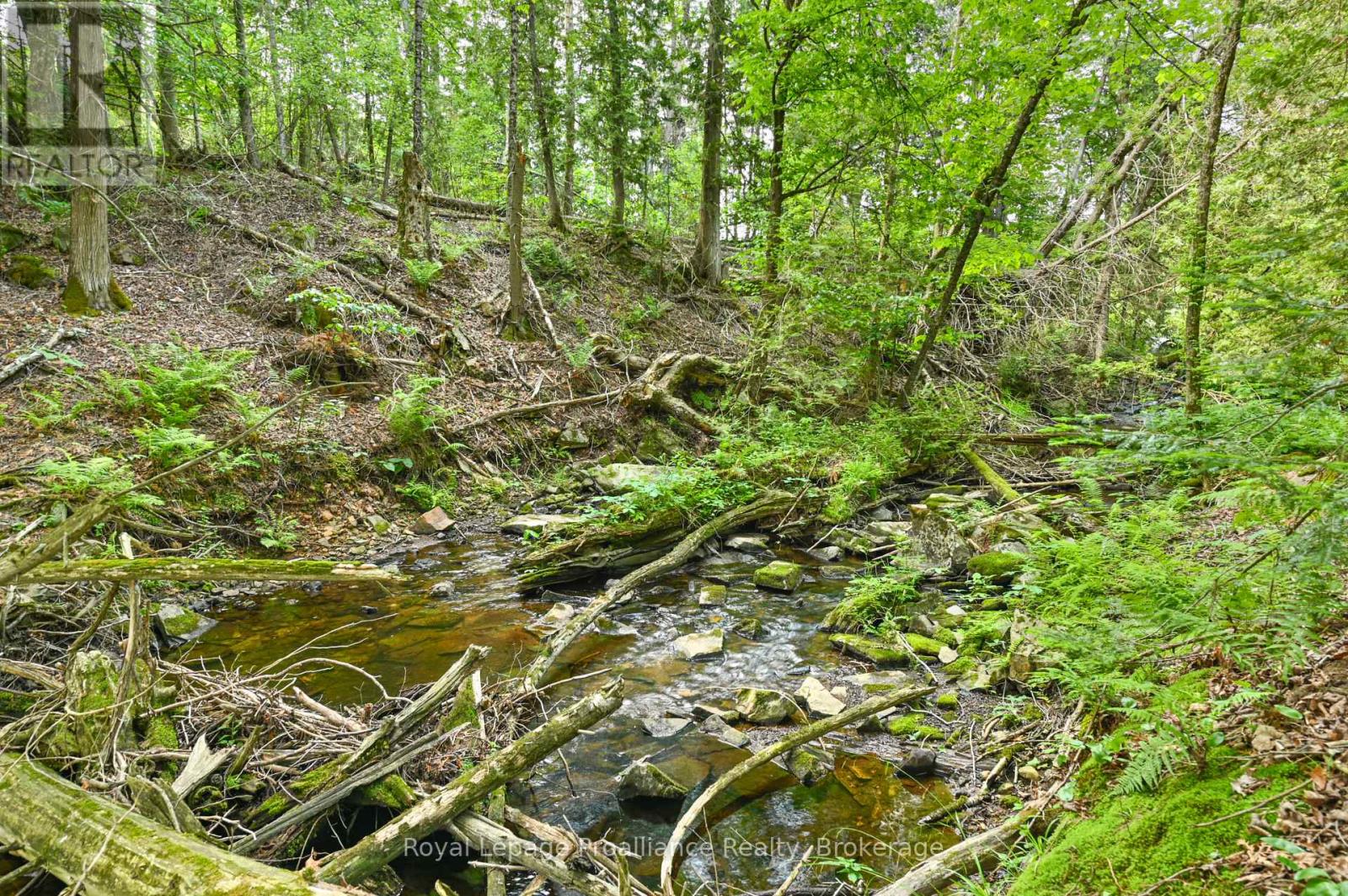 93 Hammond Road, Tudor And Cashel (Cashel Ward), Ontario  K0L 1W0 - Photo 42 - X13502036