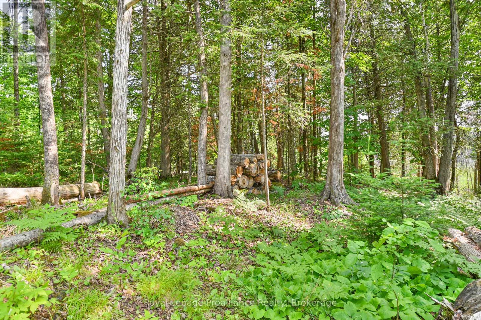 93 Hammond Road, Tudor And Cashel (Cashel Ward), Ontario  K0L 1W0 - Photo 43 - X13502036