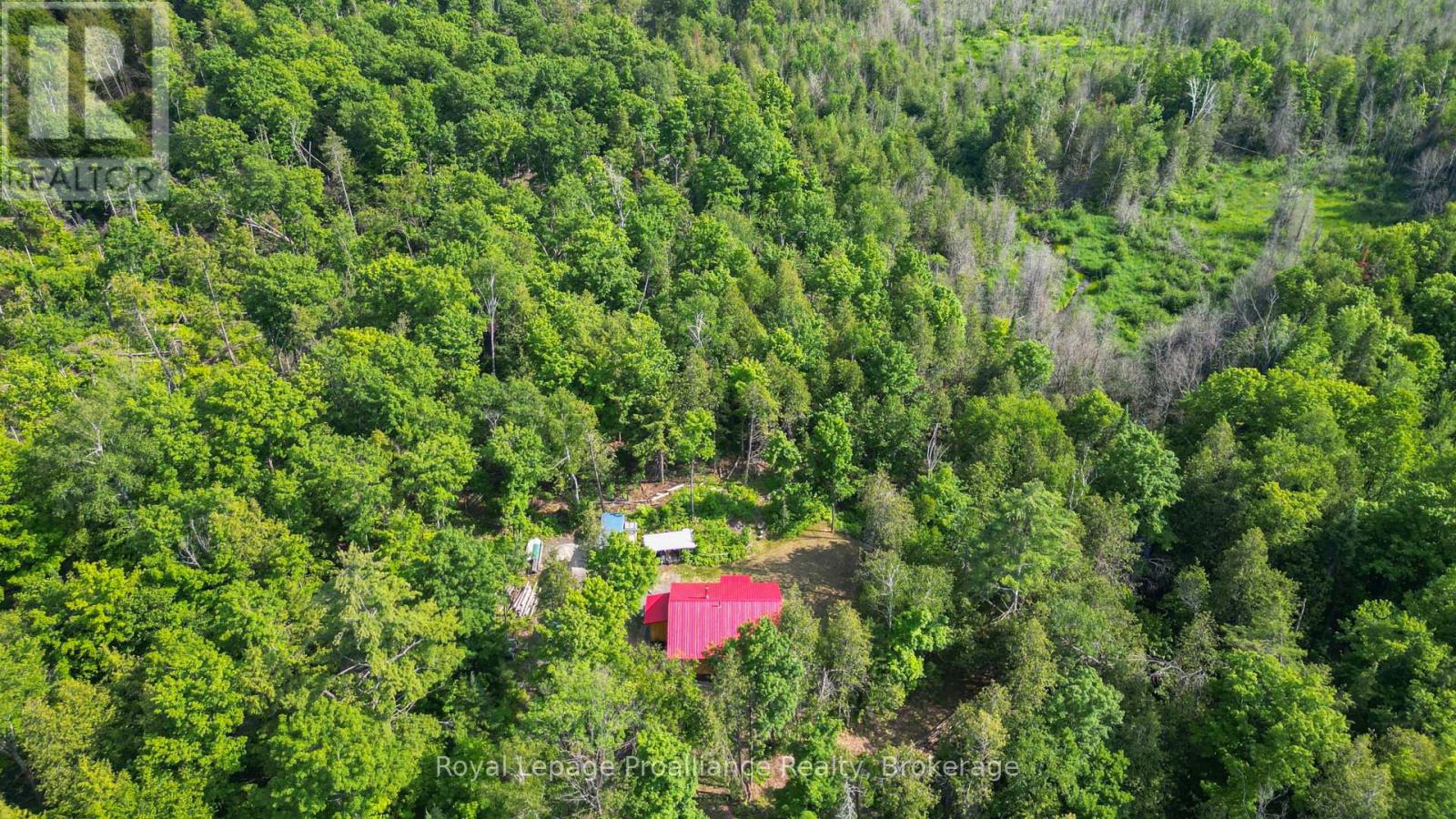 93 Hammond Road, Tudor And Cashel (Cashel Ward), Ontario  K0L 1W0 - Photo 45 - X13502036