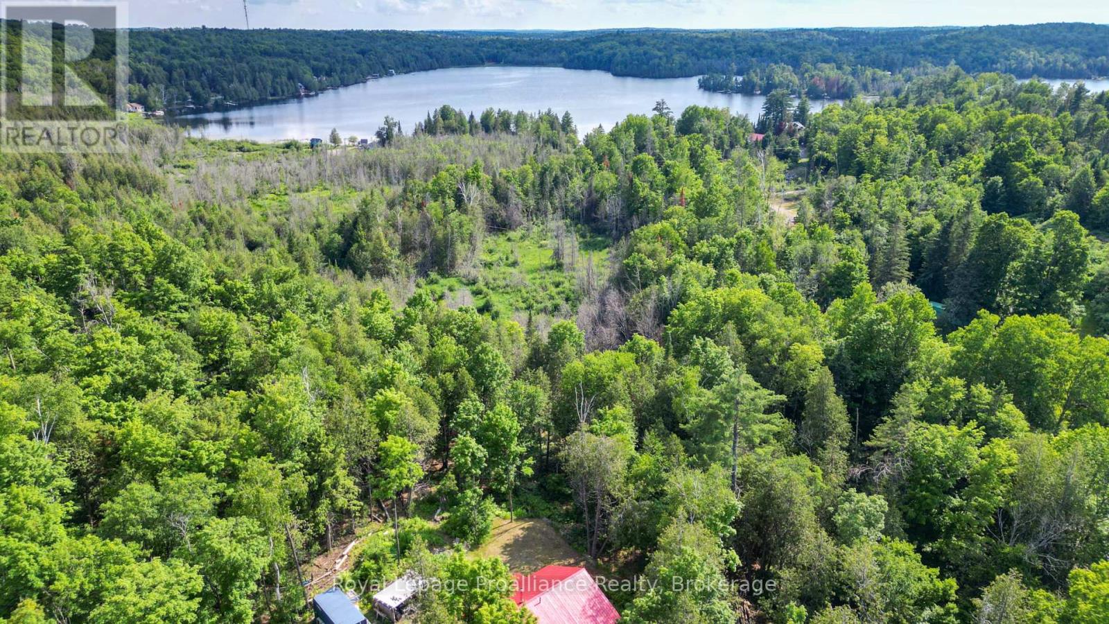 93 Hammond Road, Tudor And Cashel (Cashel Ward), Ontario  K0L 1W0 - Photo 48 - X13502036