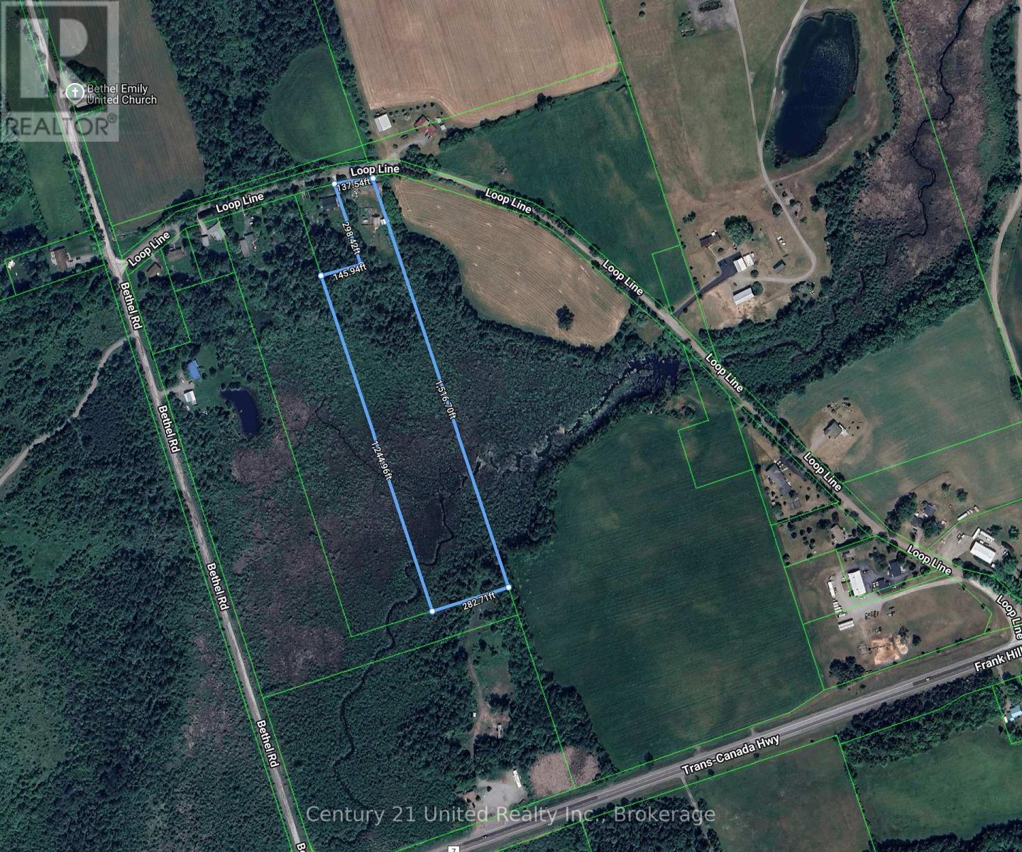 93 Loop Line, Kawartha Lakes (Emily), Ontario  K0L 2W0 - Photo 49 - X13504716