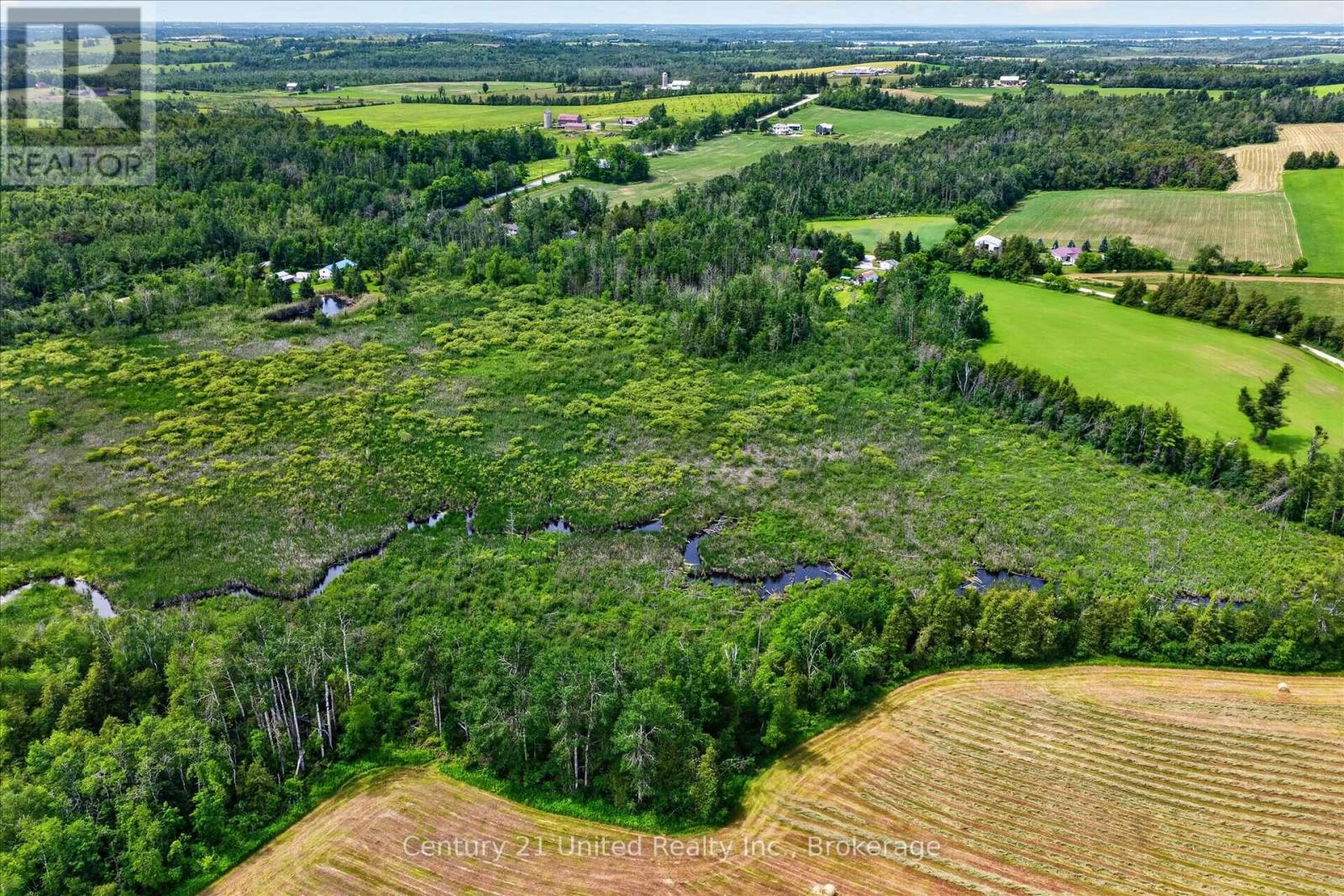 93 Loop Line, Kawartha Lakes (Emily), Ontario  K0L 2W0 - Photo 7 - X13504716