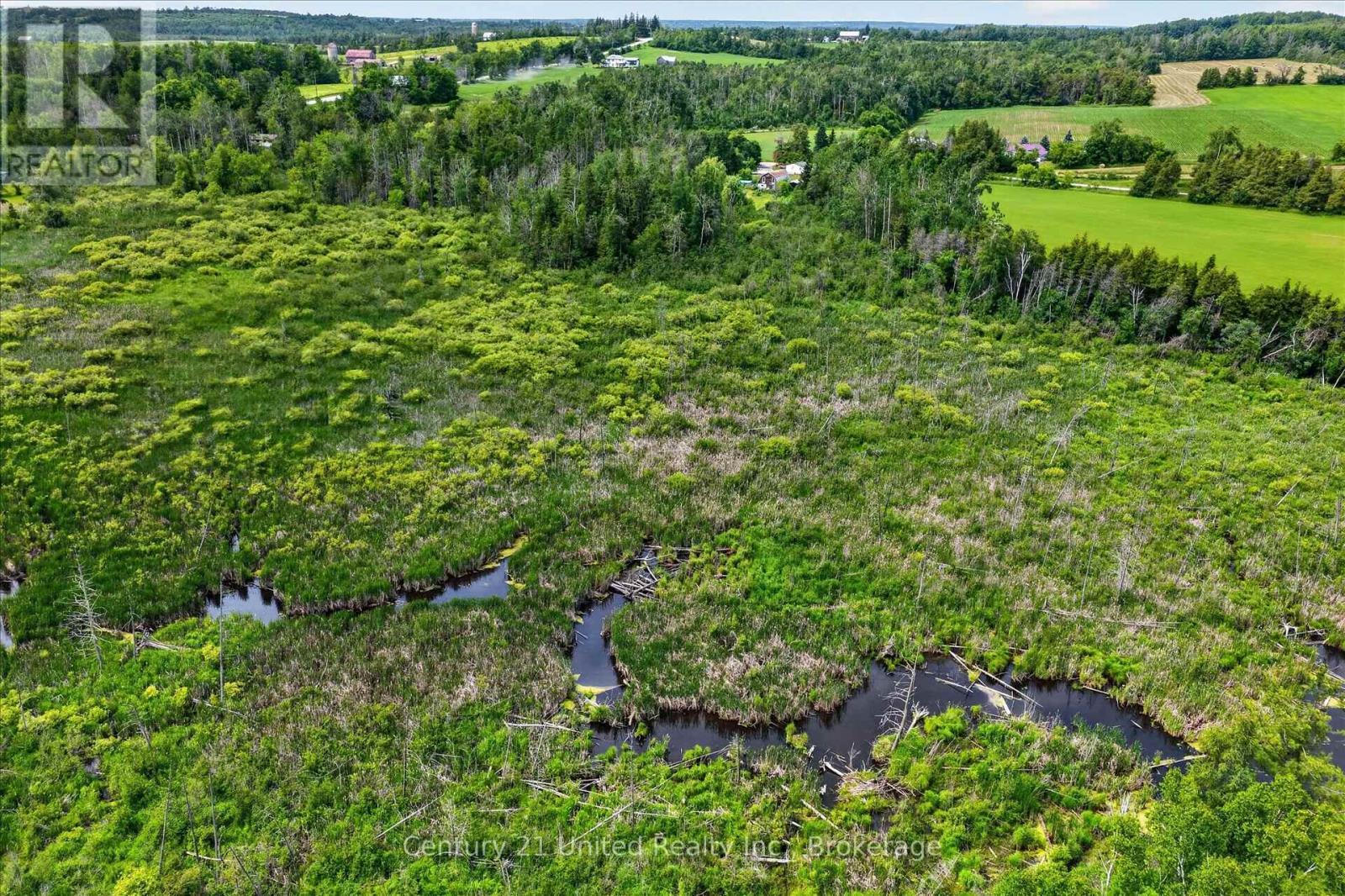 93 Loop Line, Kawartha Lakes (Emily), Ontario  K0L 2W0 - Photo 8 - X13504716