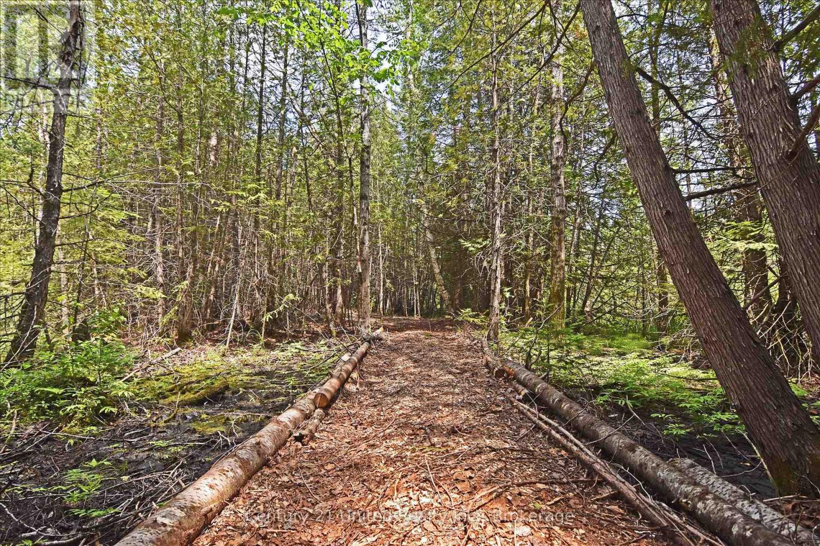 707 S Dummer 8th Line Road, Douro-Dummer, Ontario  K0L 2V0 - Photo 11 - X13505298