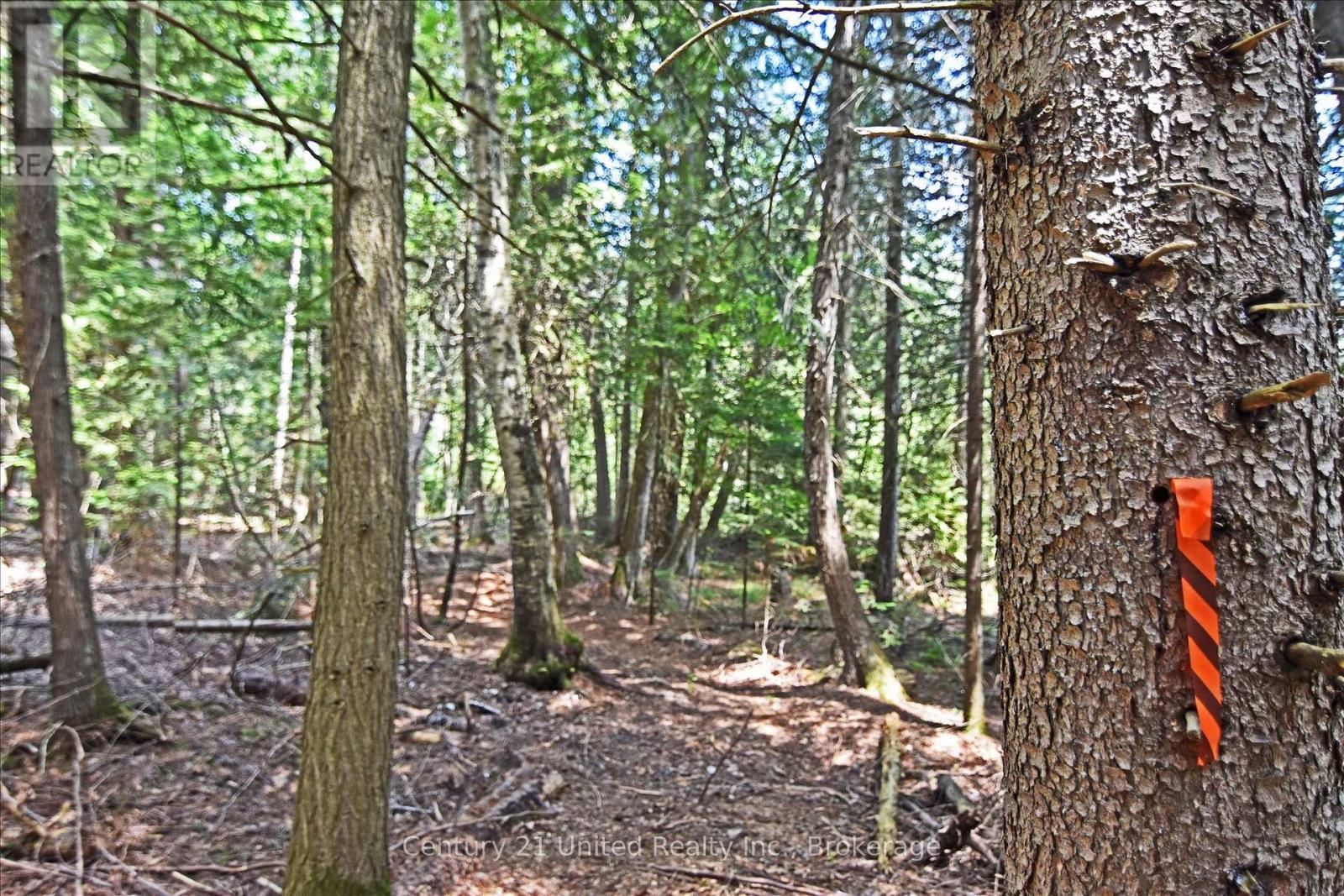 707 S Dummer 8th Line Road, Douro-Dummer, Ontario  K0L 2V0 - Photo 12 - X13505298