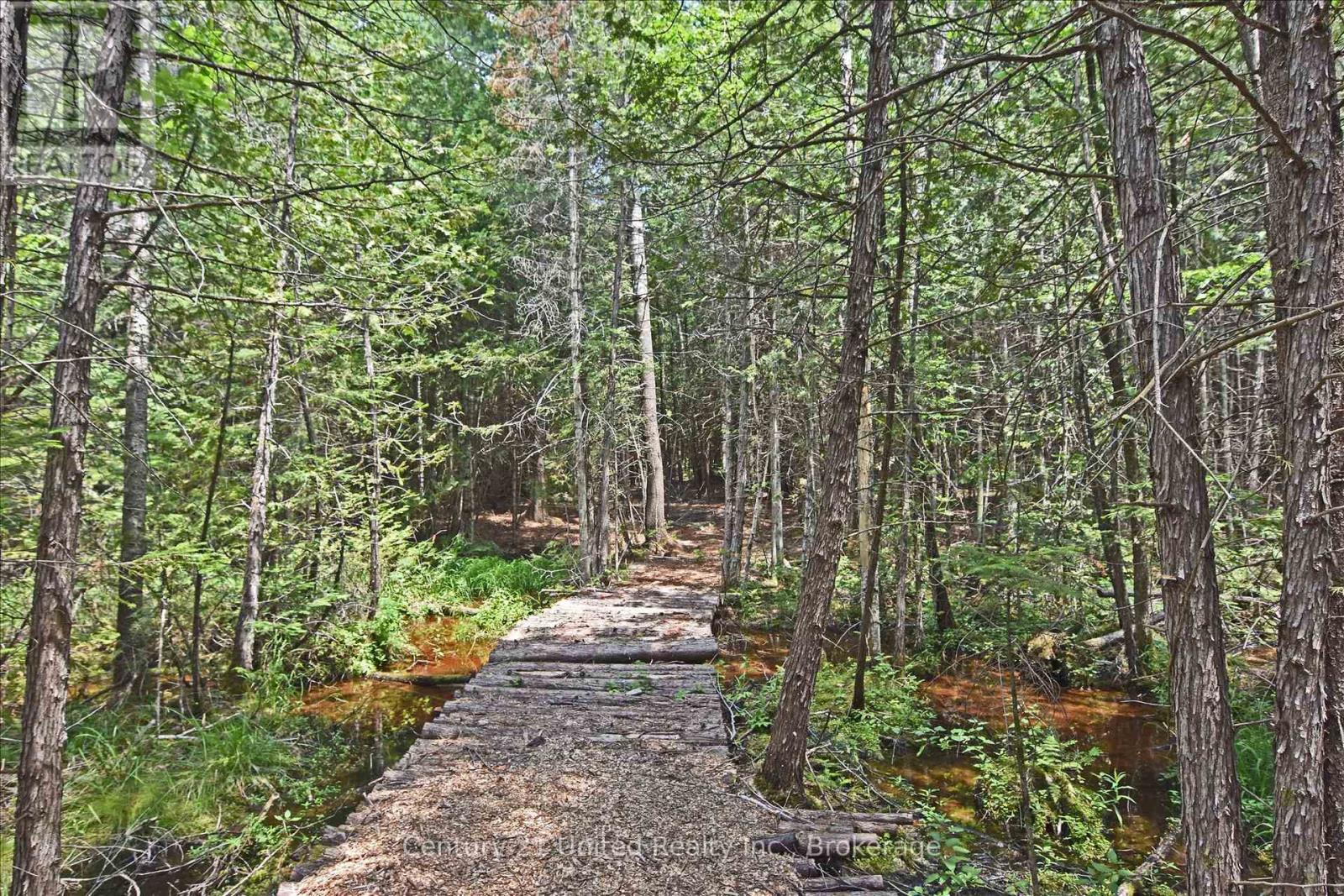 707 S Dummer 8th Line Road, Douro-Dummer, Ontario  K0L 2V0 - Photo 13 - X13505298