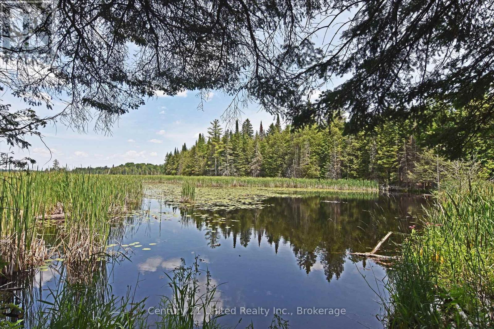 707 S Dummer 8th Line Road, Douro-Dummer, Ontario  K0L 2V0 - Photo 15 - X13505298
