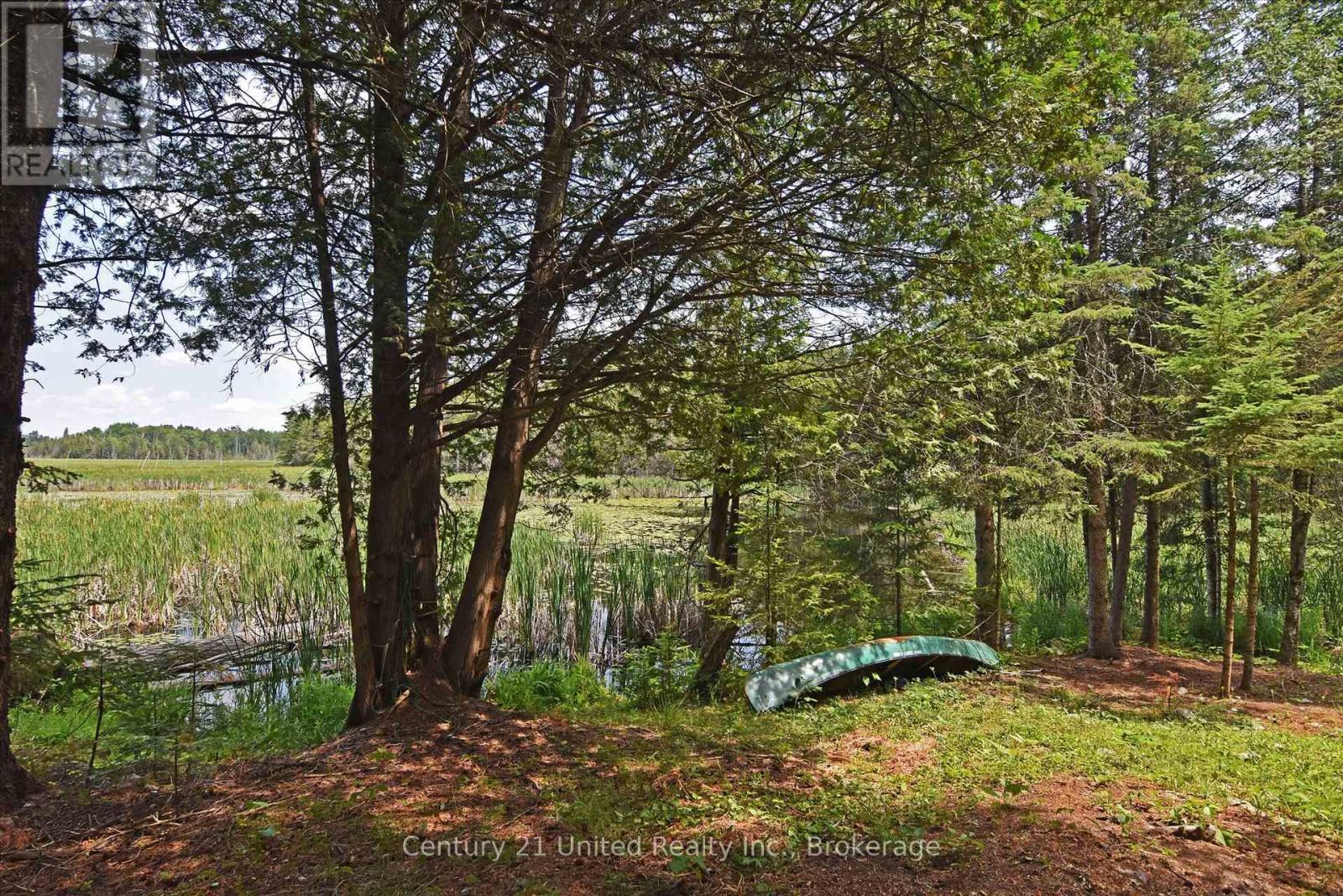 707 S Dummer 8th Line Road, Douro-Dummer, Ontario  K0L 2V0 - Photo 16 - X13505298