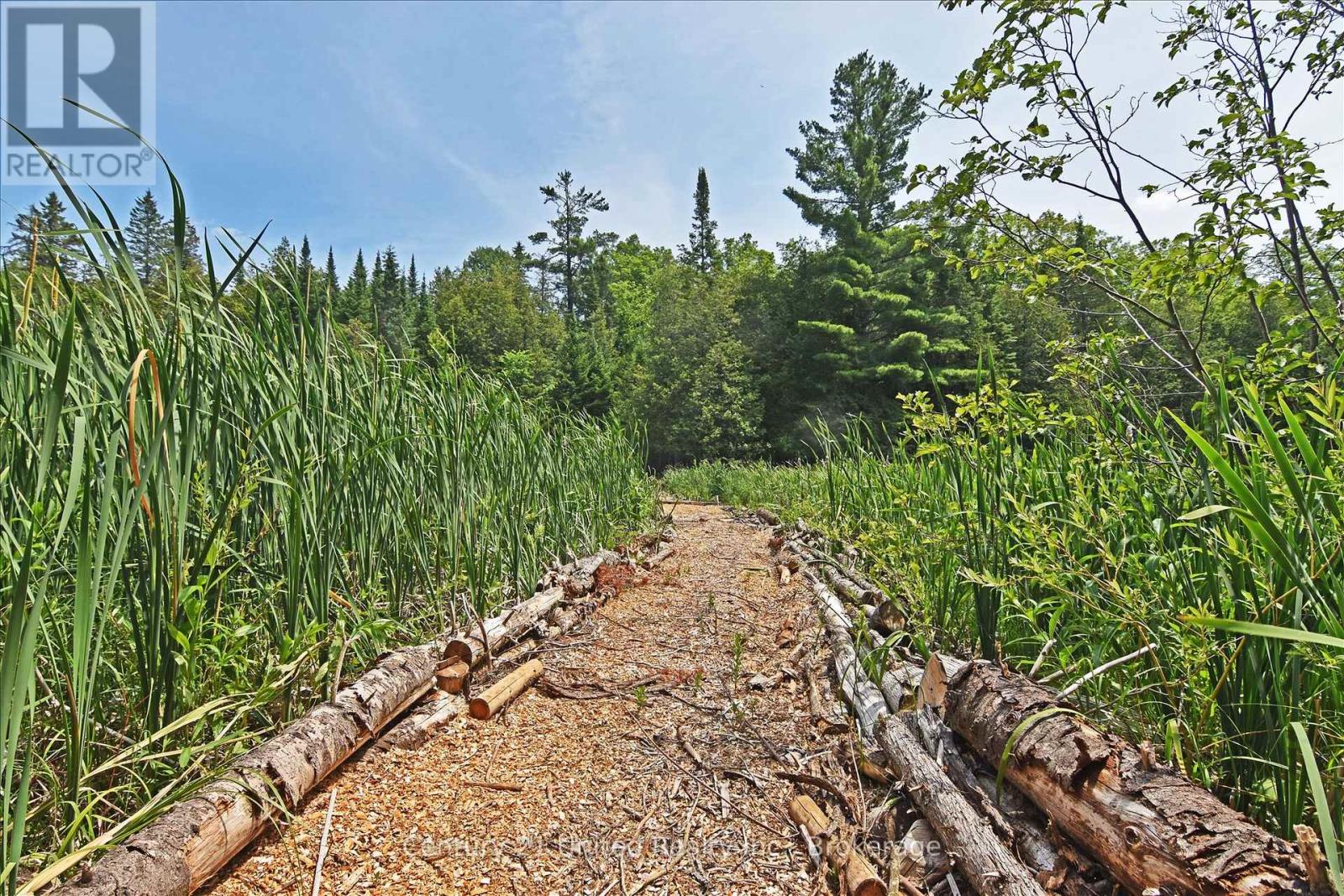 707 S Dummer 8th Line Road, Douro-Dummer, Ontario  K0L 2V0 - Photo 17 - X13505298