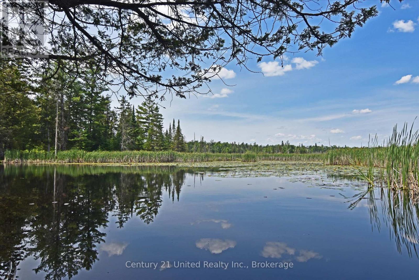707 S Dummer 8th Line Road, Douro-Dummer, Ontario  K0L 2V0 - Photo 18 - X13505298