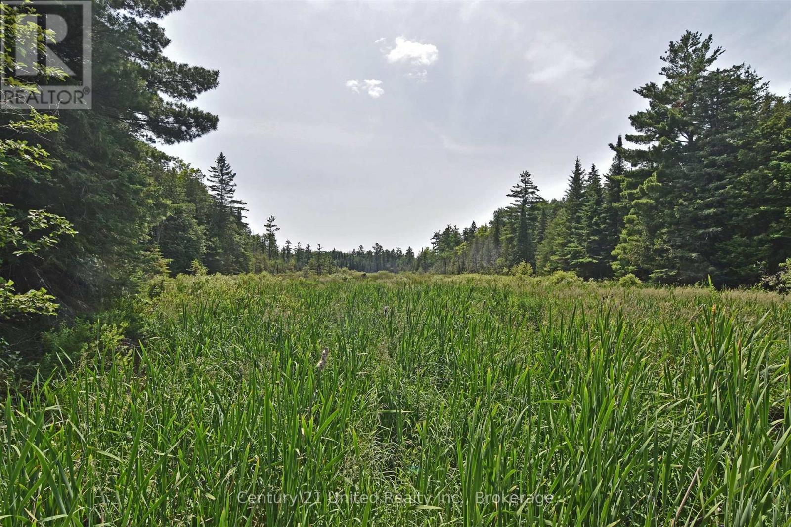 707 S Dummer 8th Line Road, Douro-Dummer, Ontario  K0L 2V0 - Photo 19 - X13505298
