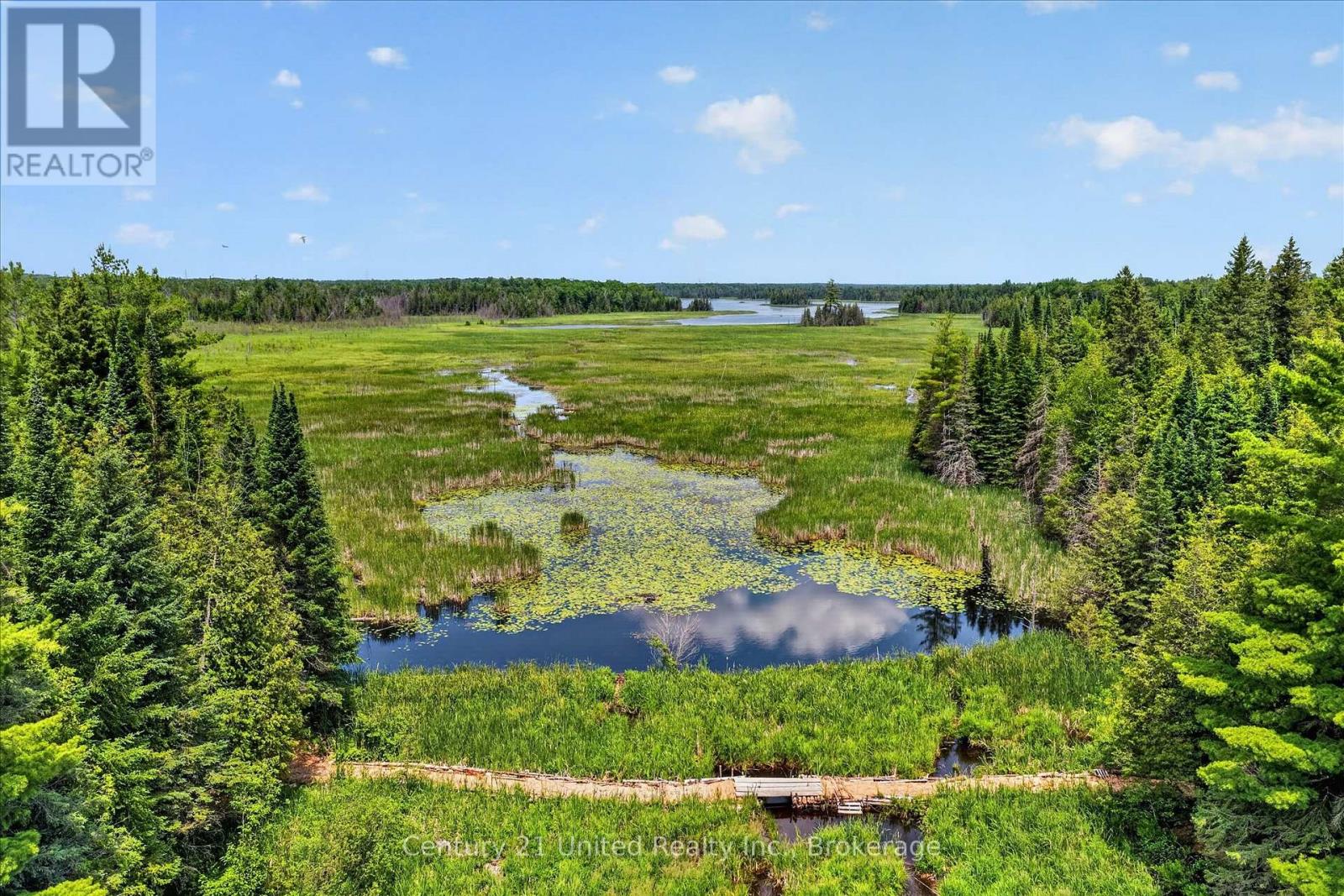 707 S Dummer 8th Line Road, Douro-Dummer, Ontario  K0L 2V0 - Photo 25 - X13505298