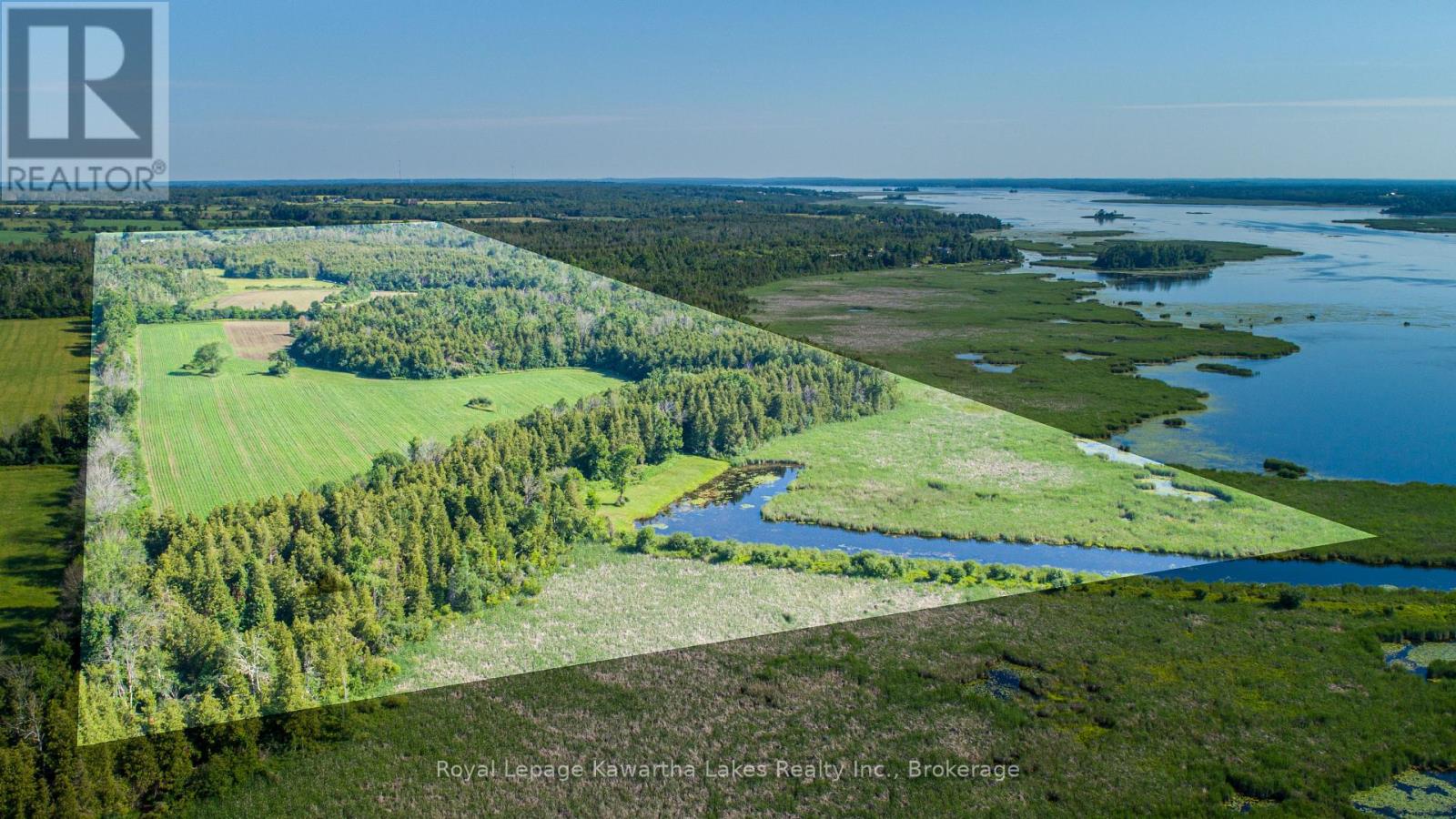 36 Spen Haven Road, Kawartha Lakes (Emily), Ontario  K9V 0K3 - Photo 11 - X13505708