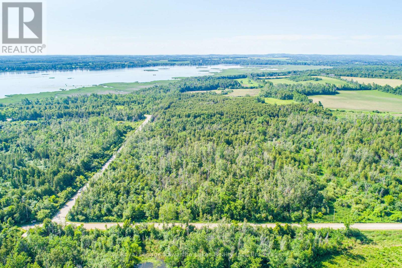 36 Spen Haven Road, Kawartha Lakes (Emily), Ontario  K9V 0K3 - Photo 13 - X13505708