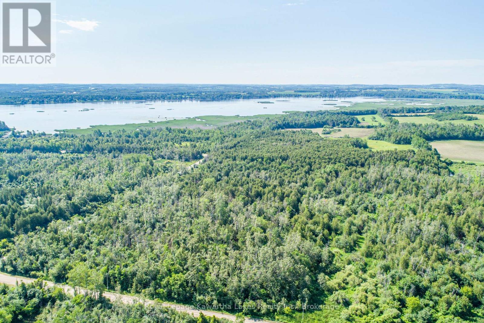 36 Spen Haven Road, Kawartha Lakes (Emily), Ontario  K9V 0K3 - Photo 17 - X13505708