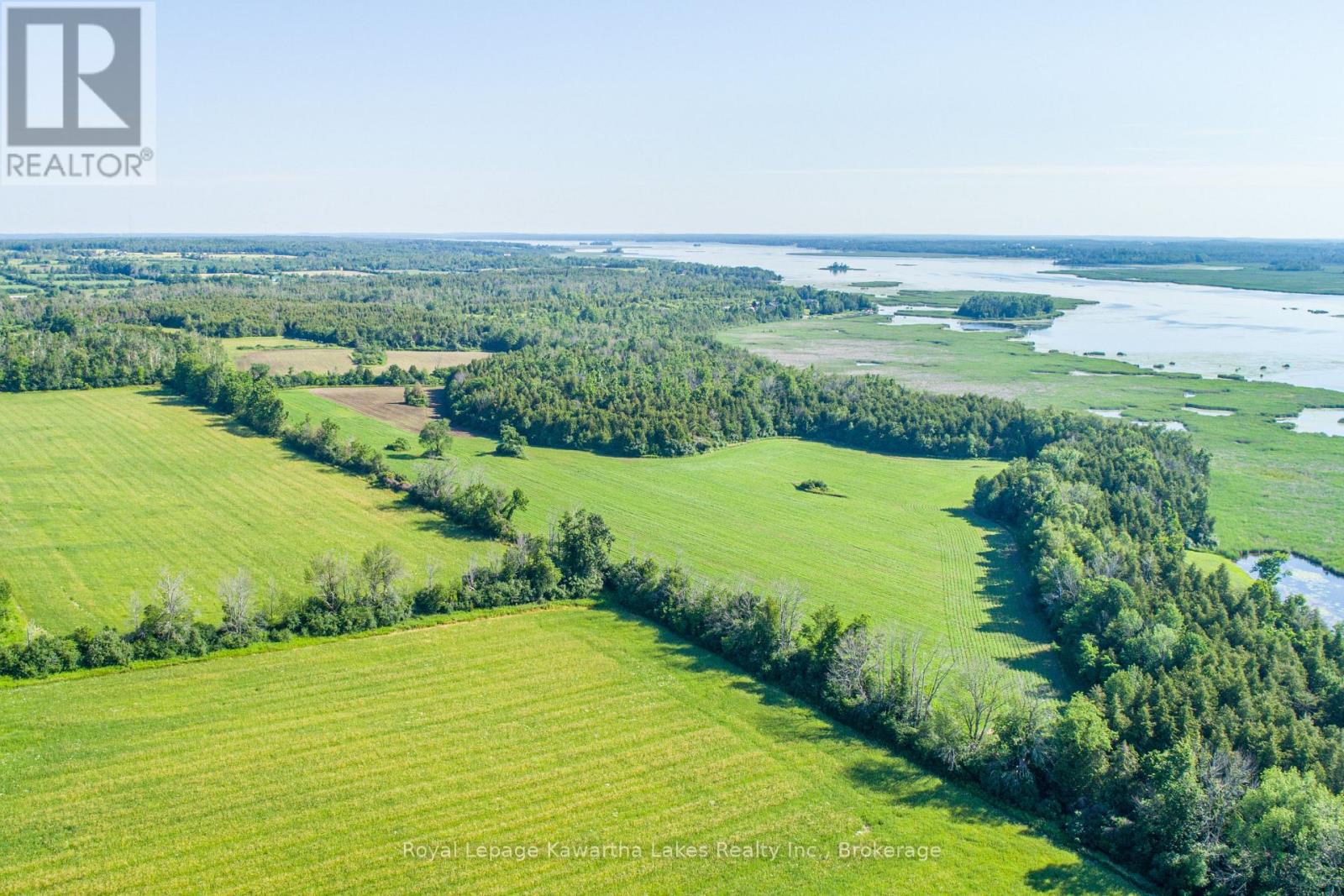 36 Spen Haven Road, Kawartha Lakes (Emily), Ontario  K9V 0K3 - Photo 2 - X13505708