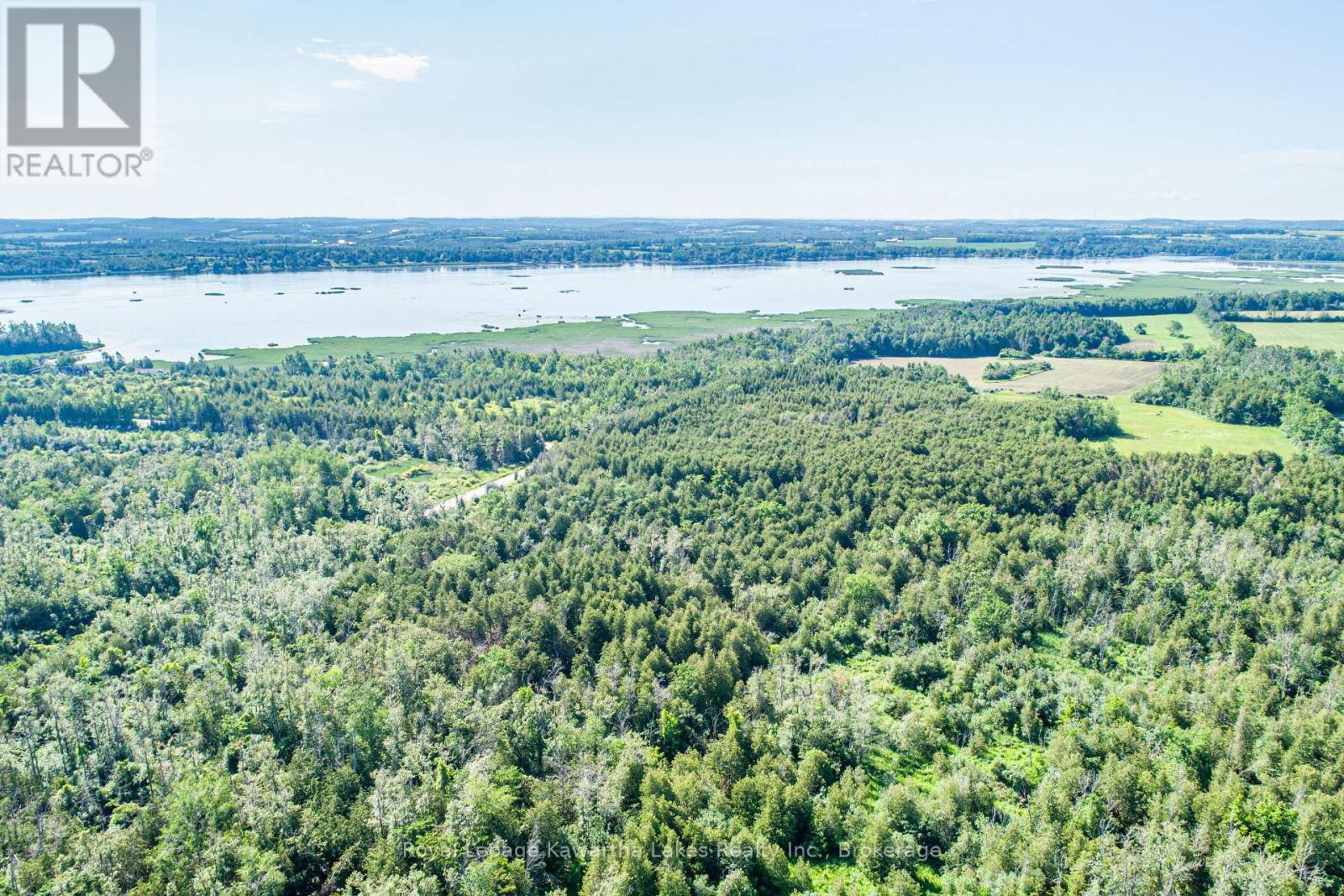 36 Spen Haven Road, Kawartha Lakes (Emily), Ontario  K9V 0K3 - Photo 20 - X13505708