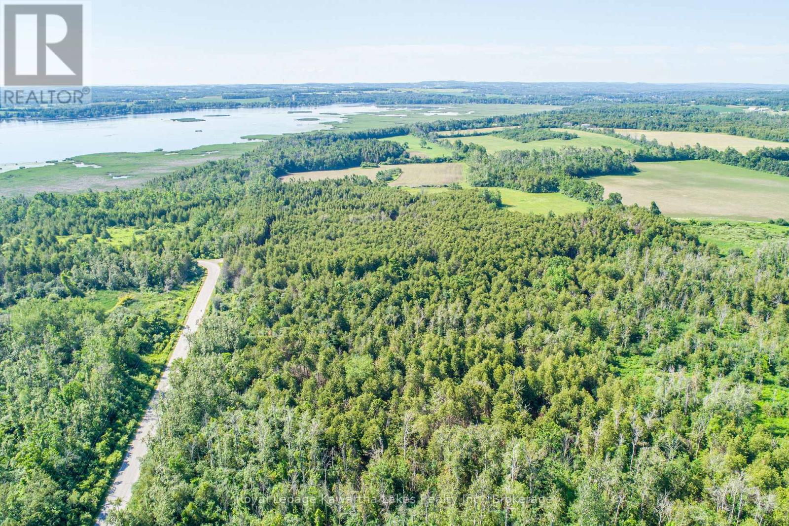 36 Spen Haven Road, Kawartha Lakes (Emily), Ontario  K9V 0K3 - Photo 21 - X13505708