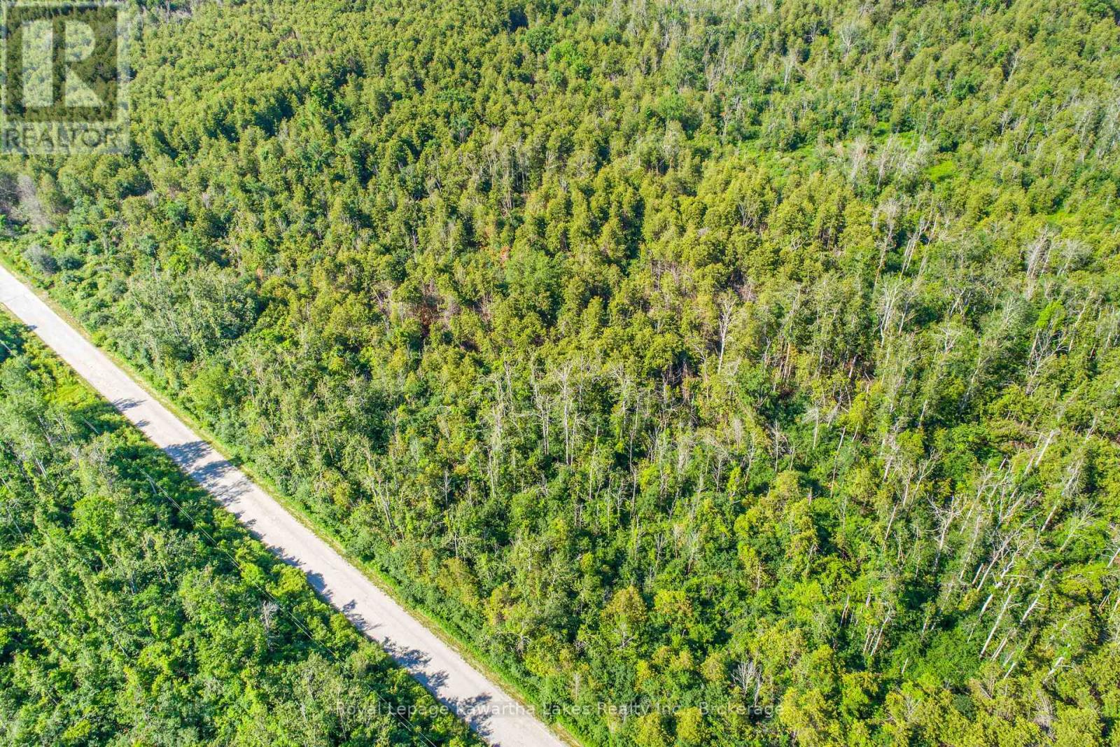 36 Spen Haven Road, Kawartha Lakes (Emily), Ontario  K9V 0K3 - Photo 22 - X13505708