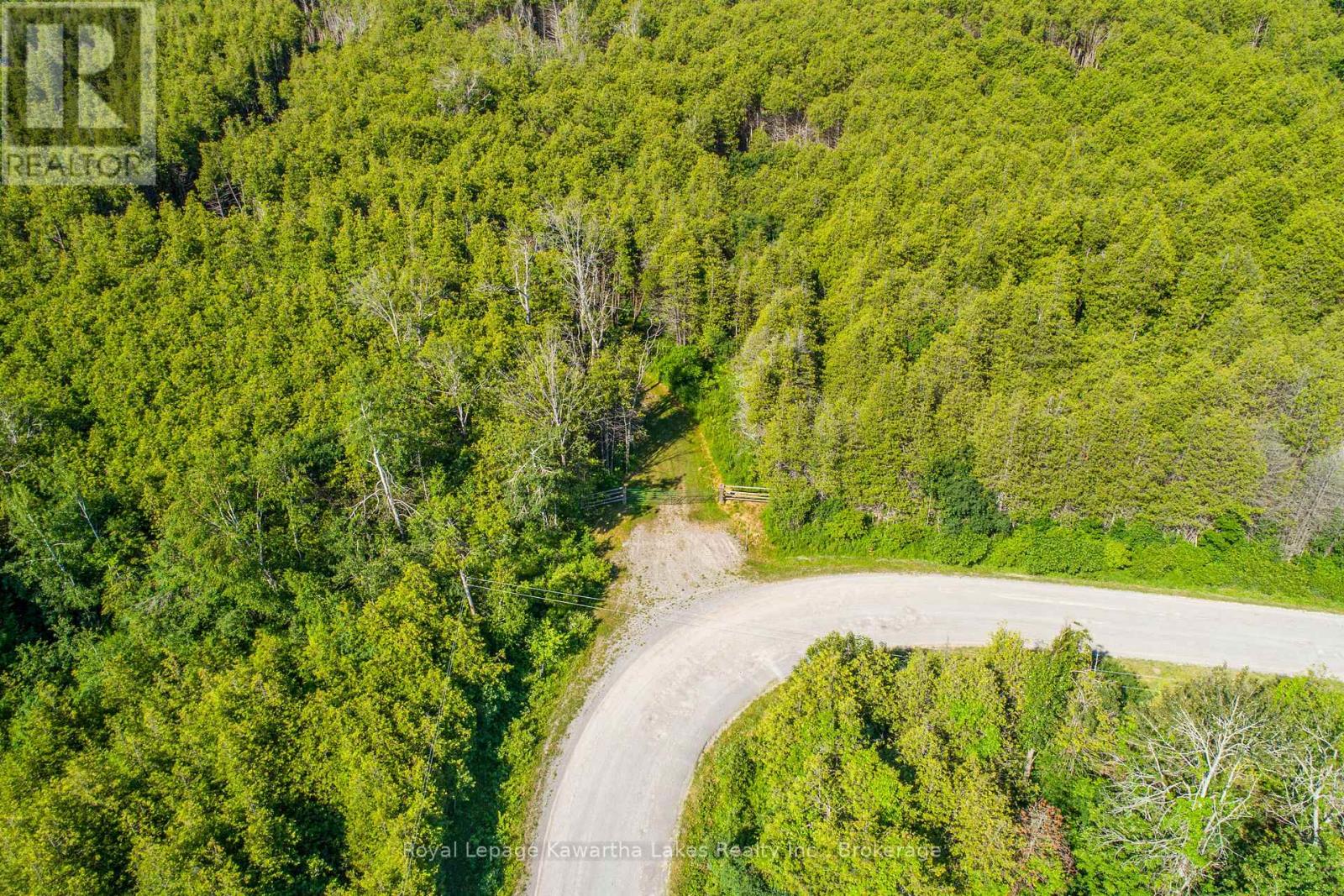 36 Spen Haven Road, Kawartha Lakes (Emily), Ontario  K9V 0K3 - Photo 23 - X13505708