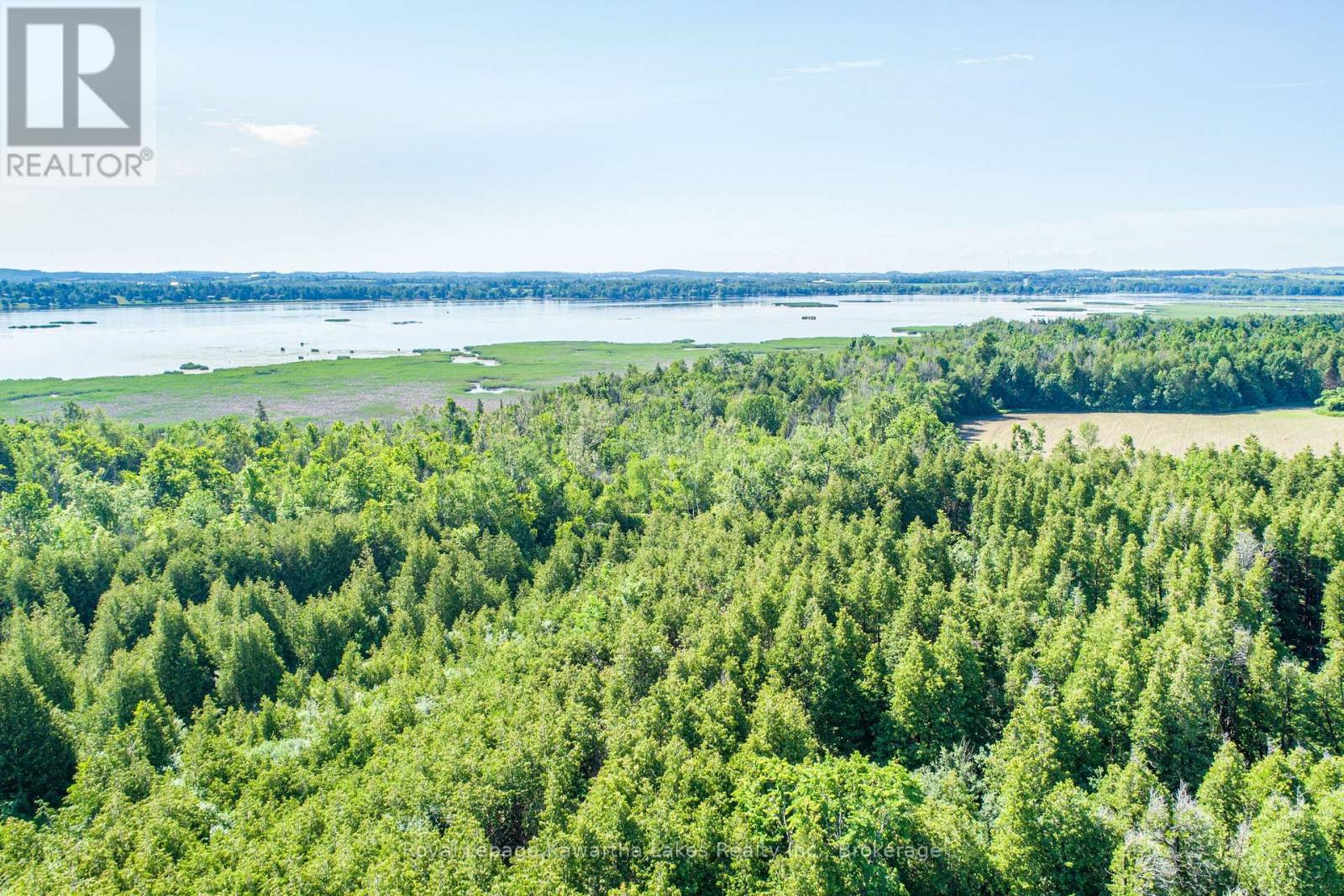 36 Spen Haven Road, Kawartha Lakes (Emily), Ontario  K9V 0K3 - Photo 25 - X13505708