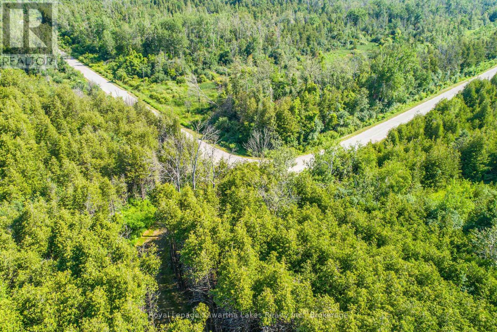 36 Spen Haven Road, Kawartha Lakes (Emily), Ontario  K9V 0K3 - Photo 26 - X13505708