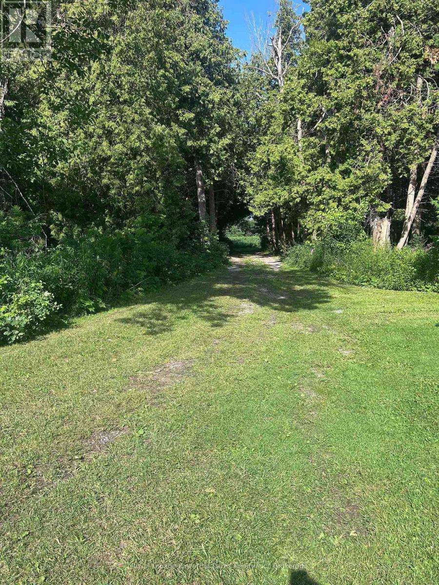 36 Spen Haven Road, Kawartha Lakes (Emily), Ontario  K9V 0K3 - Photo 29 - X13505708