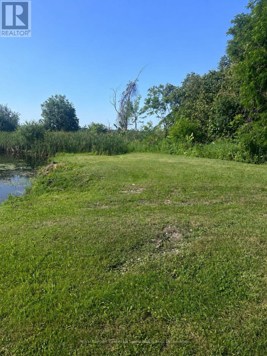 36 Spen Haven Road, Kawartha Lakes (Emily), Ontario  K9V 0K3 - Photo 33 - X13505708