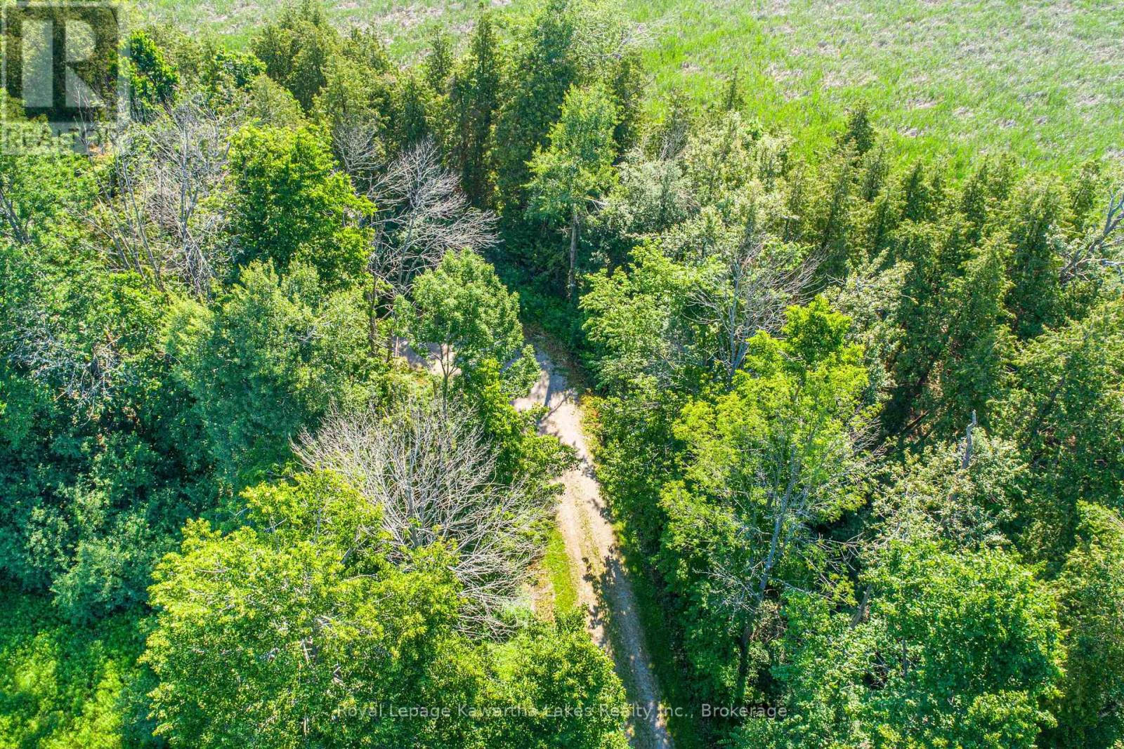36 Spen Haven Road, Kawartha Lakes (Emily), Ontario  K9V 0K3 - Photo 5 - X13505708