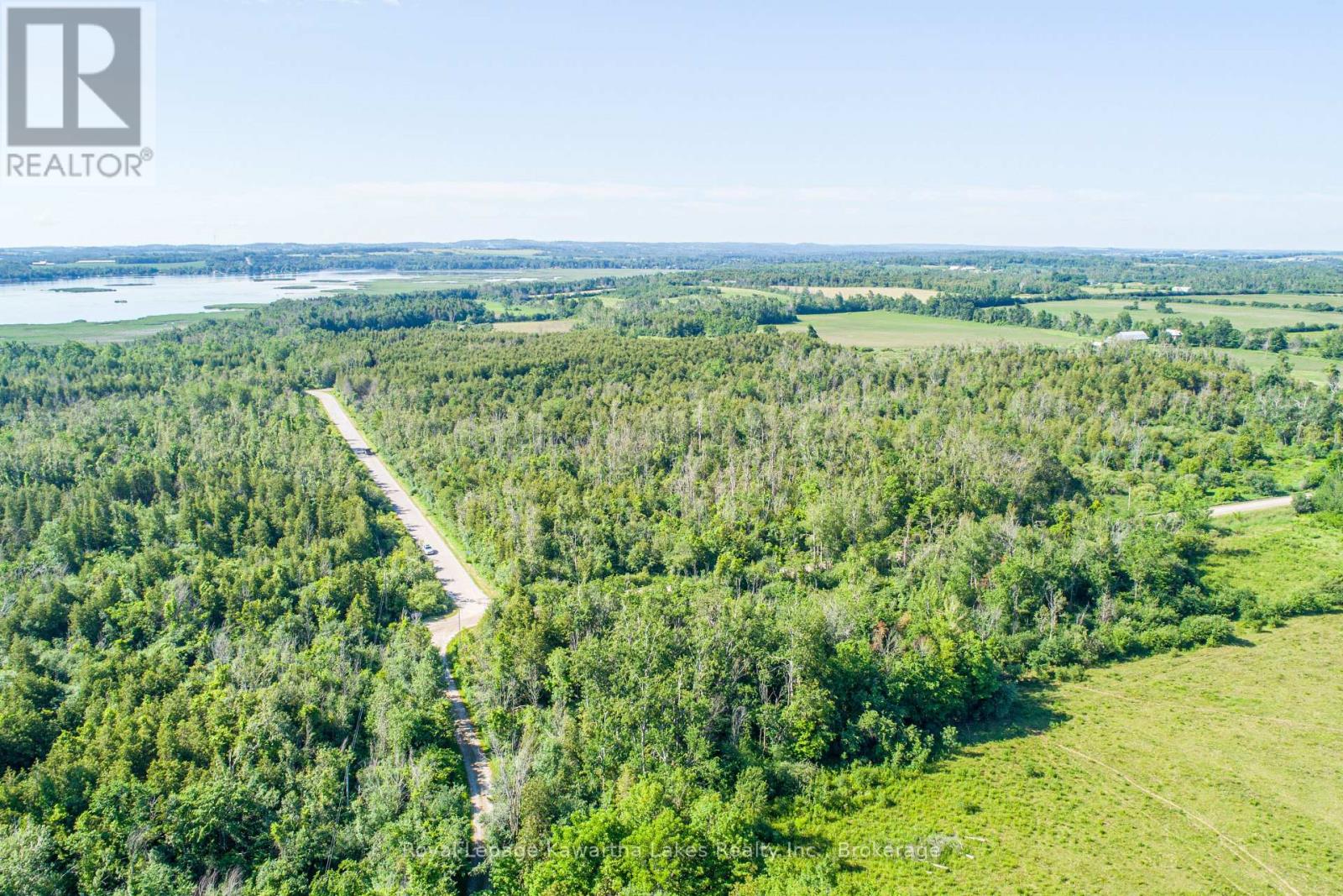 36 Spen Haven Road, Kawartha Lakes (Emily), Ontario  K9V 0K3 - Photo 6 - X13505708