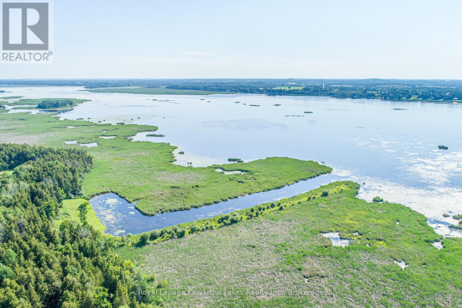 36 Spen Haven Road, Kawartha Lakes (Emily), Ontario  K9V 0K3 - Photo 7 - X13505708