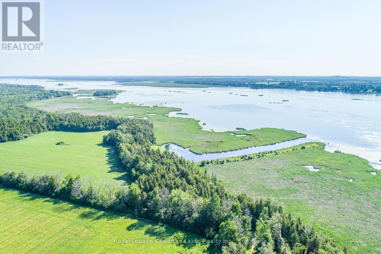 36 Spen Haven Road, Kawartha Lakes (Emily), Ontario  K9V 0K3 - Photo 8 - X13505708