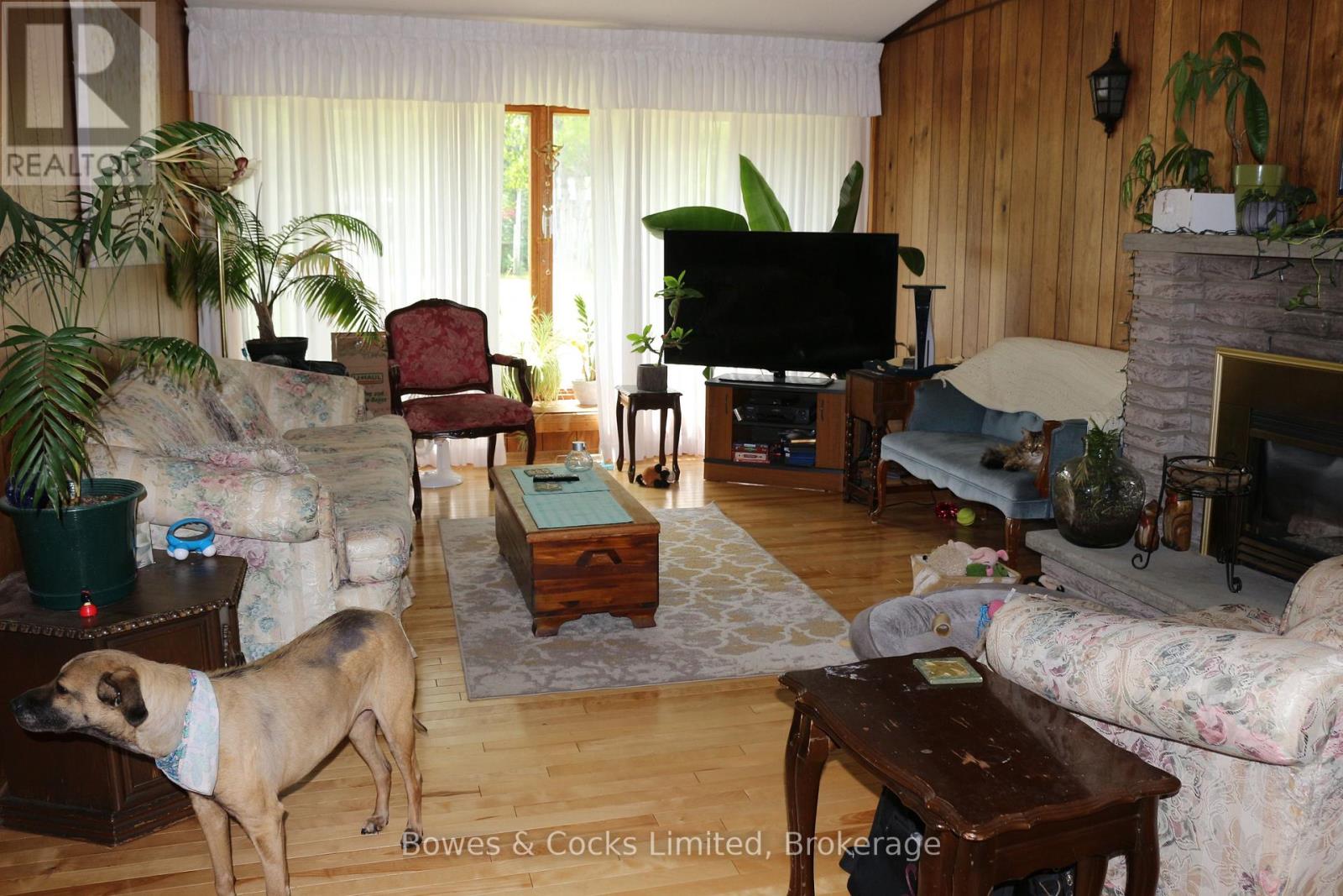 189 Mcfadden Road, North Kawartha, Ontario  K0L 1A0 - Photo 20 - X13505998
