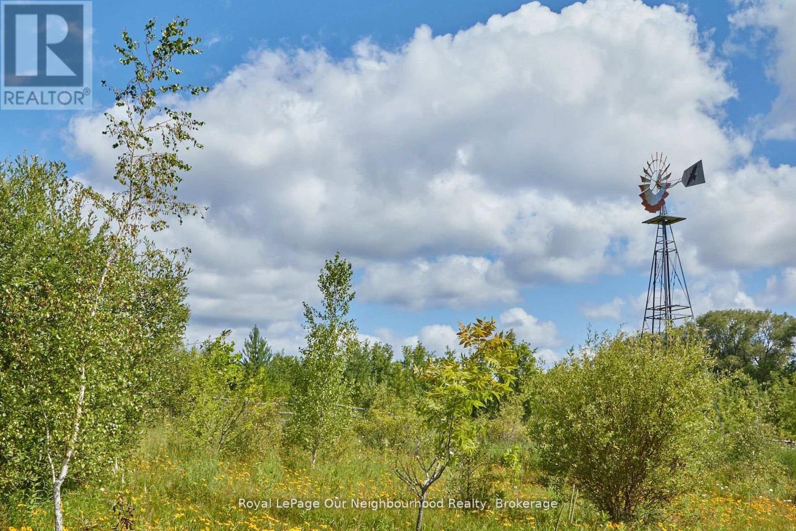 3088 Concession 7 Road, Clarington, Ontario  L1B 5W6 - Photo 29 - E13506330
