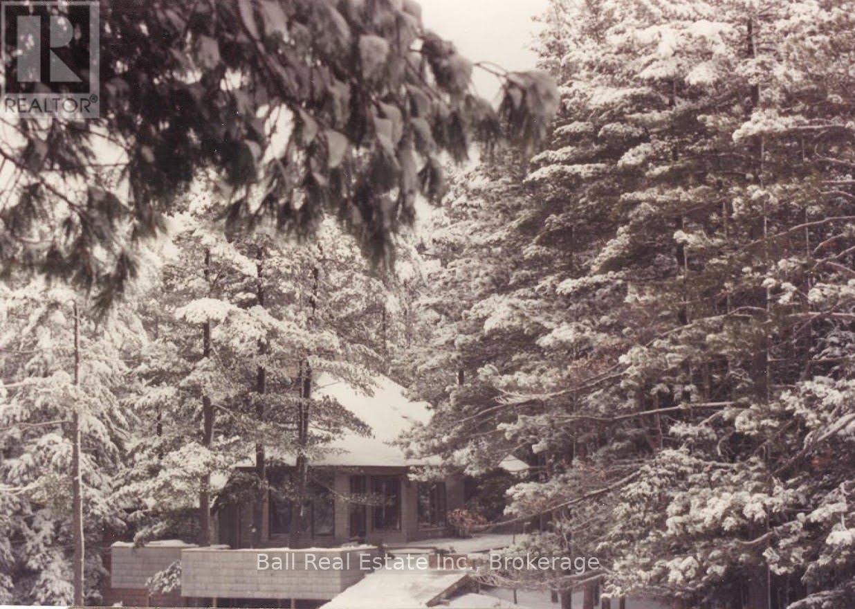 239 Fire Route 52, North Kawartha, Ontario  K0L 1A0 - Photo 15 - X13511446