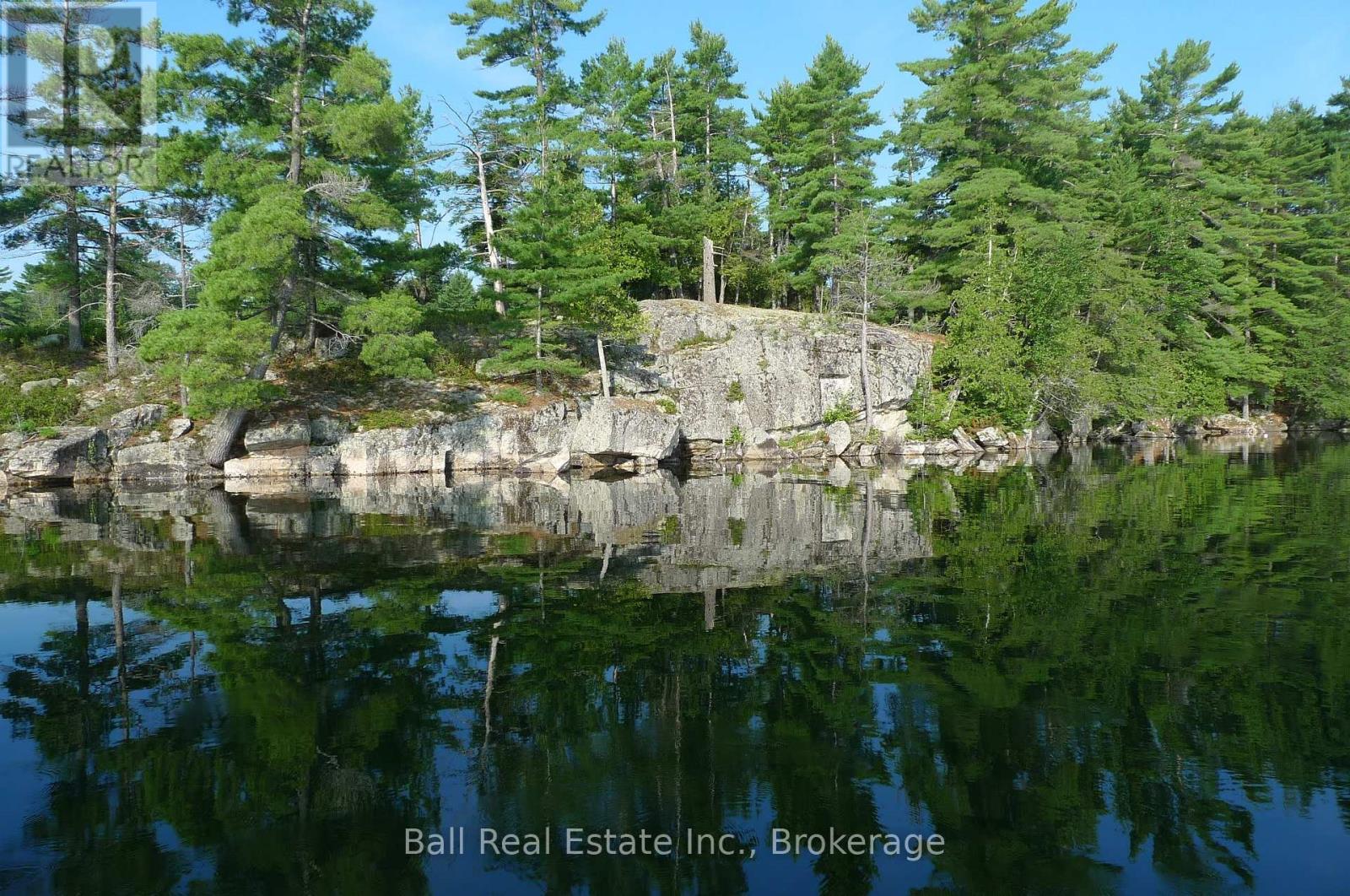 239 Fire Route 52, North Kawartha, Ontario  K0L 1A0 - Photo 6 - X13511446