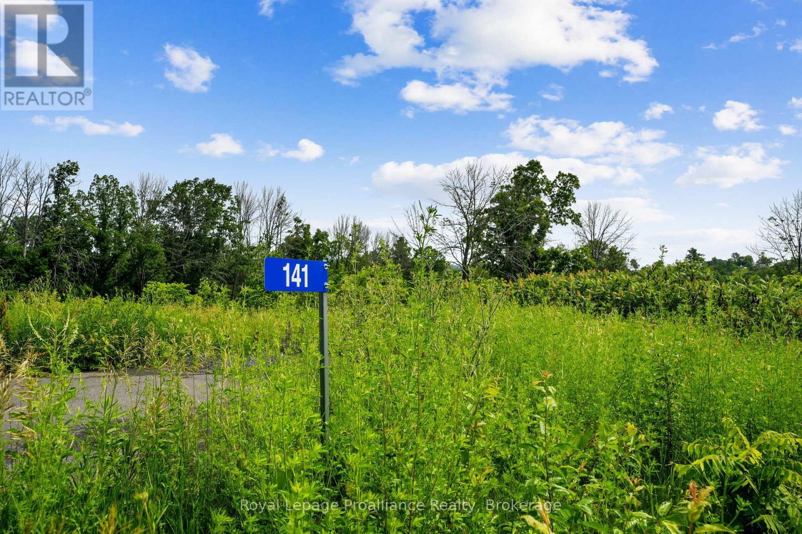 141 Portage Street, Trent Hills (Campbellford), Ontario  K0L 1L0 - Photo 4 - X13512160
