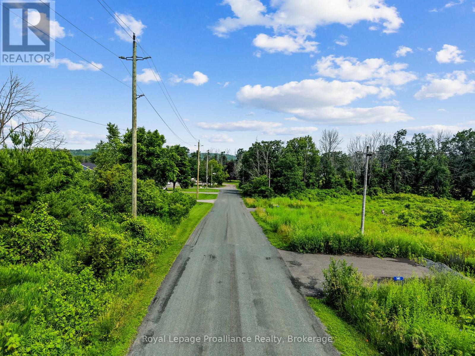 141 Portage Street, Trent Hills (Campbellford), Ontario  K0L 1L0 - Photo 5 - X13512160