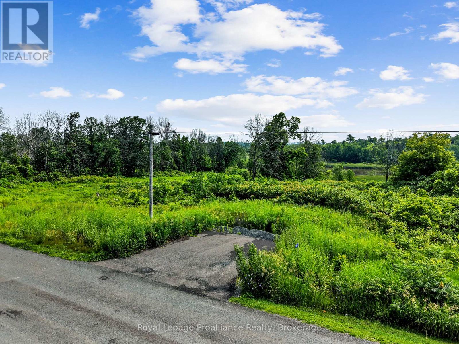 141 Portage Street, Trent Hills (Campbellford), Ontario  K0L 1L0 - Photo 7 - X13512160