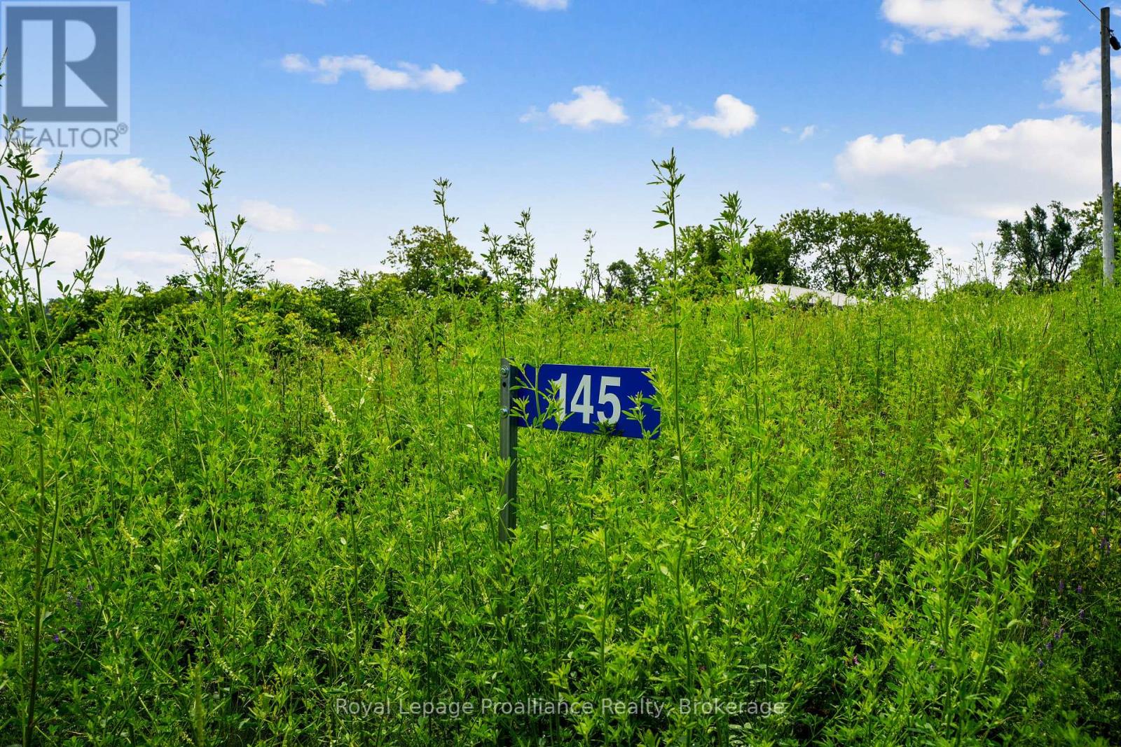 145 Portage Street, Trent Hills (Campbellford), Ontario  K0L 1L0 - Photo 4 - X13512174