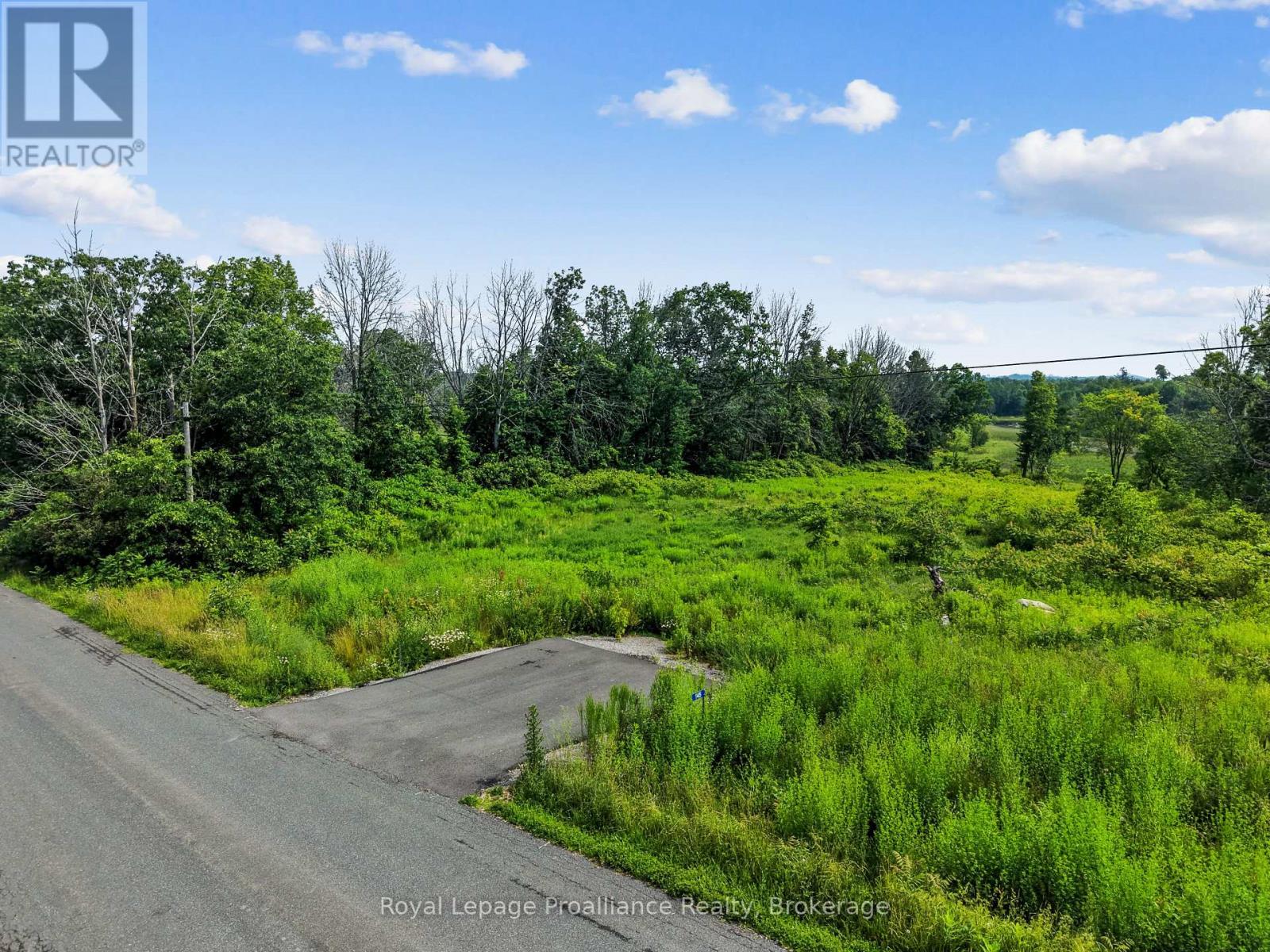 145 Portage Street, Trent Hills (Campbellford), Ontario  K0L 1L0 - Photo 6 - X13512174