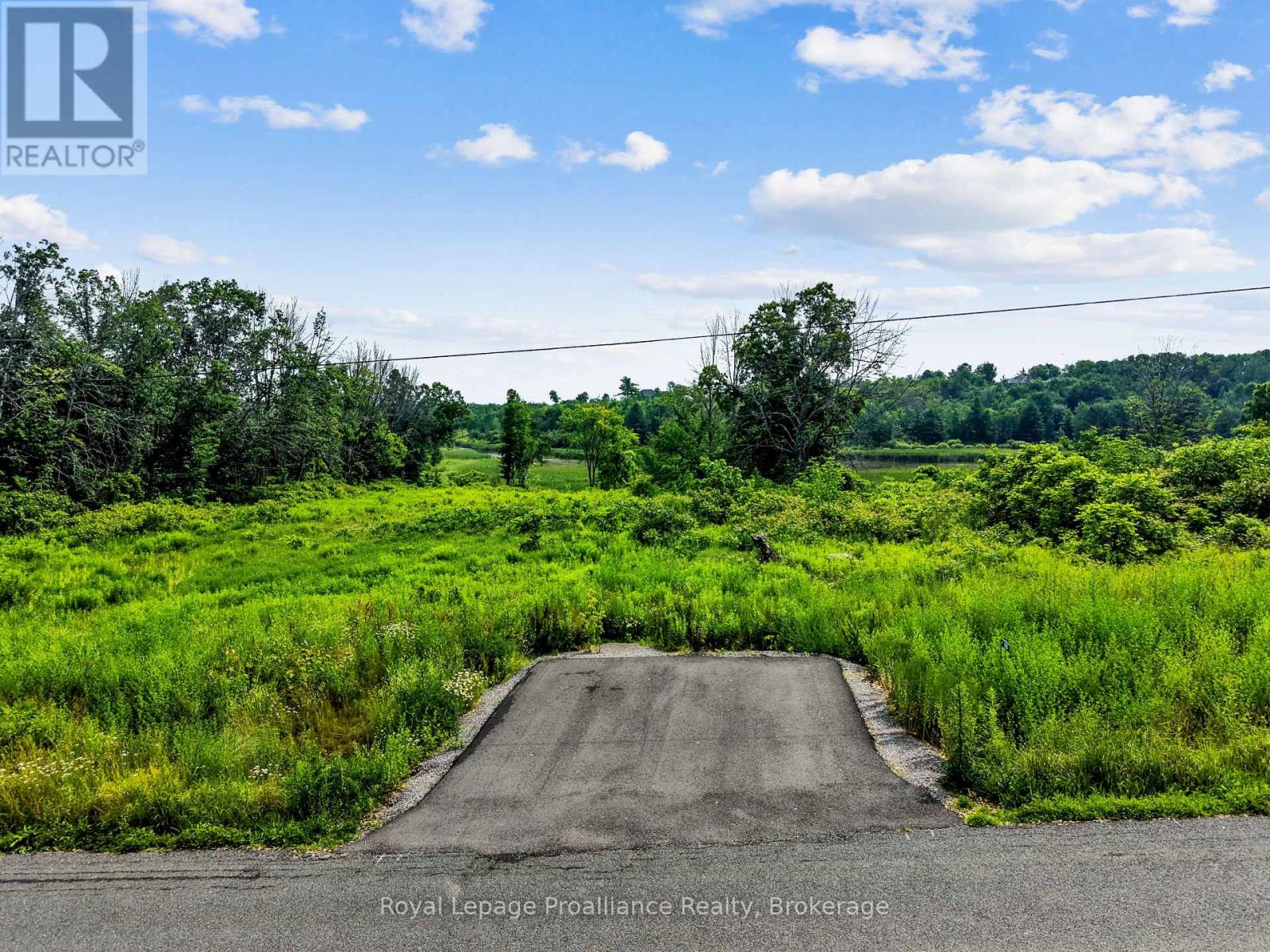145 Portage Street, Trent Hills (Campbellford), Ontario  K0L 1L0 - Photo 7 - X13512174