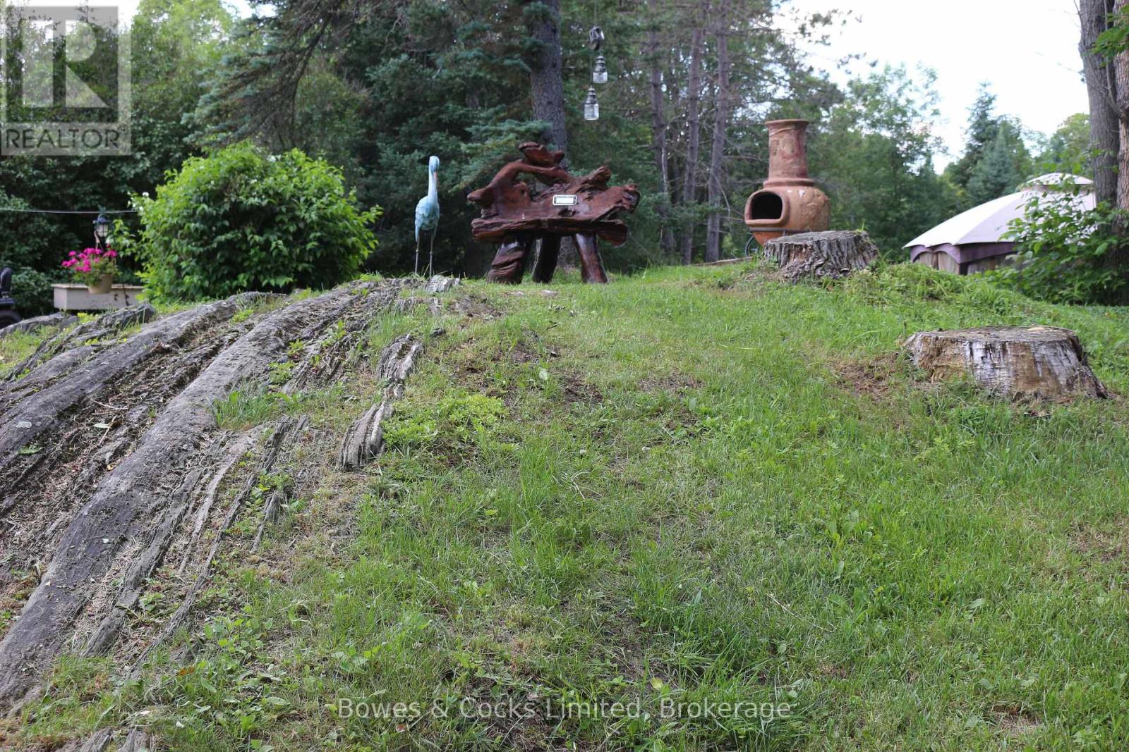 3994 County Road 620, North Kawartha, Ontario  K0L 1A0 - Photo 18 - X13513648