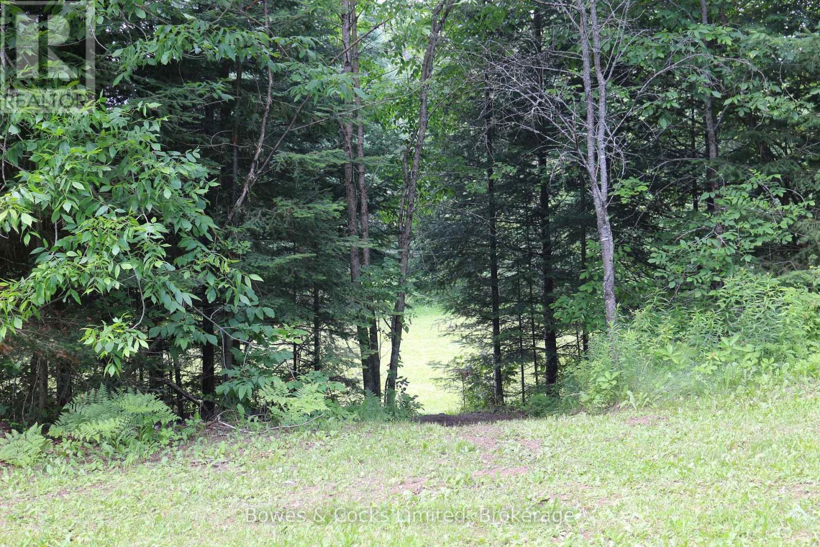 3994 County Road 620, North Kawartha, Ontario  K0L 1A0 - Photo 26 - X13513648