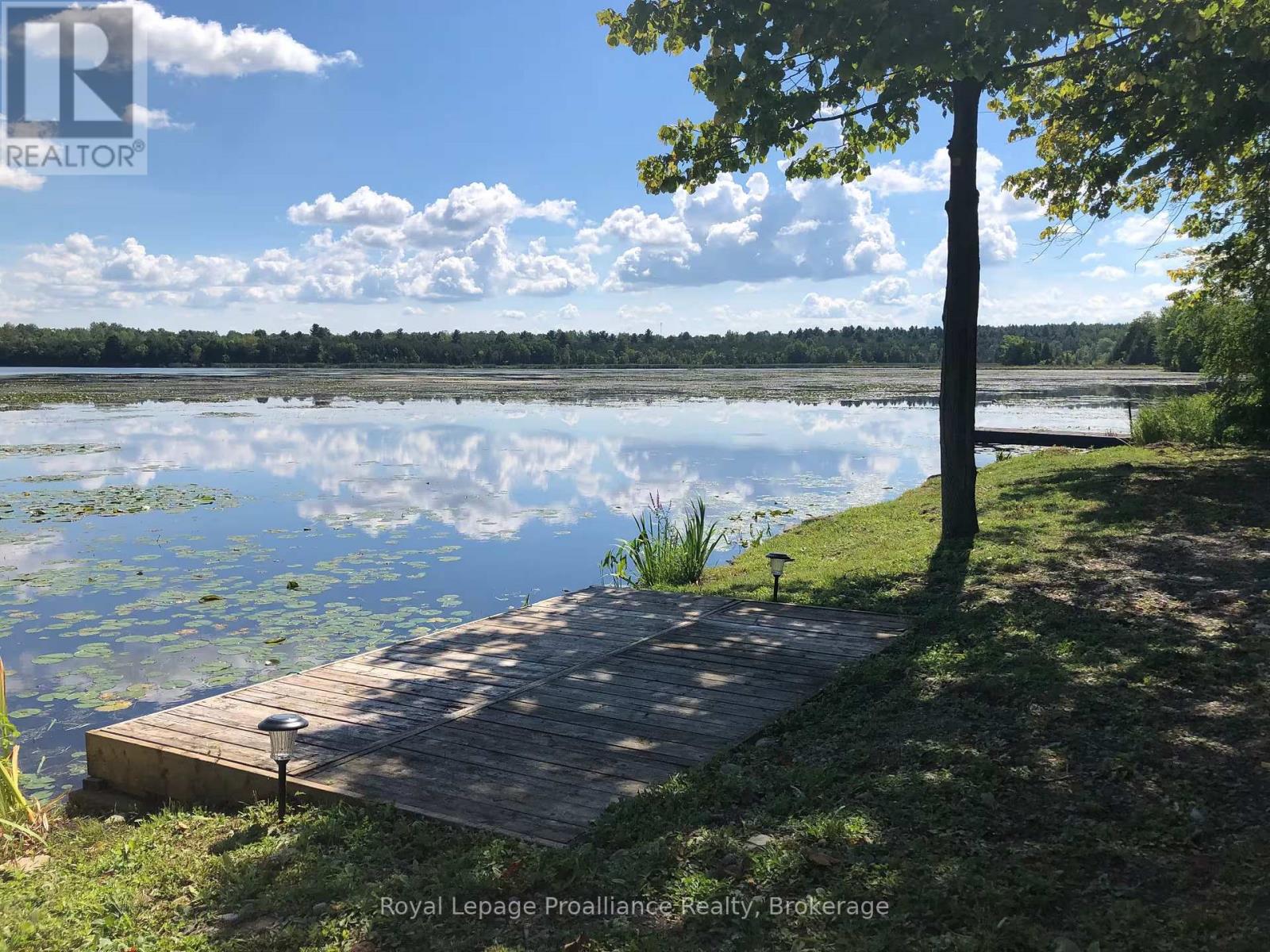 328 SOUTH SHORES ROAD, trent hills, Ontario