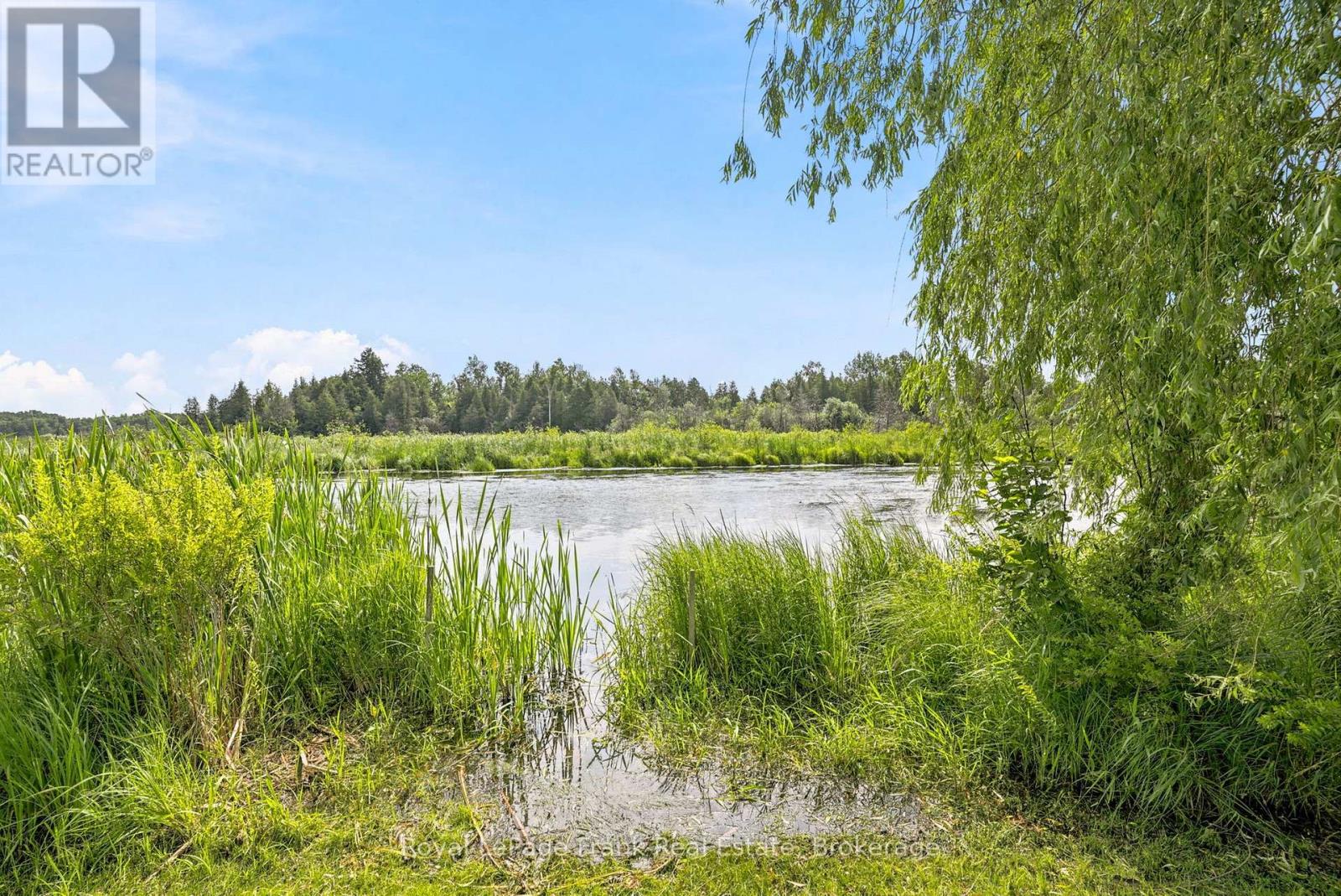 128 River Road, Kawartha Lakes (Manvers), Ontario  K9V 4R4 - Photo 43 - X13514800